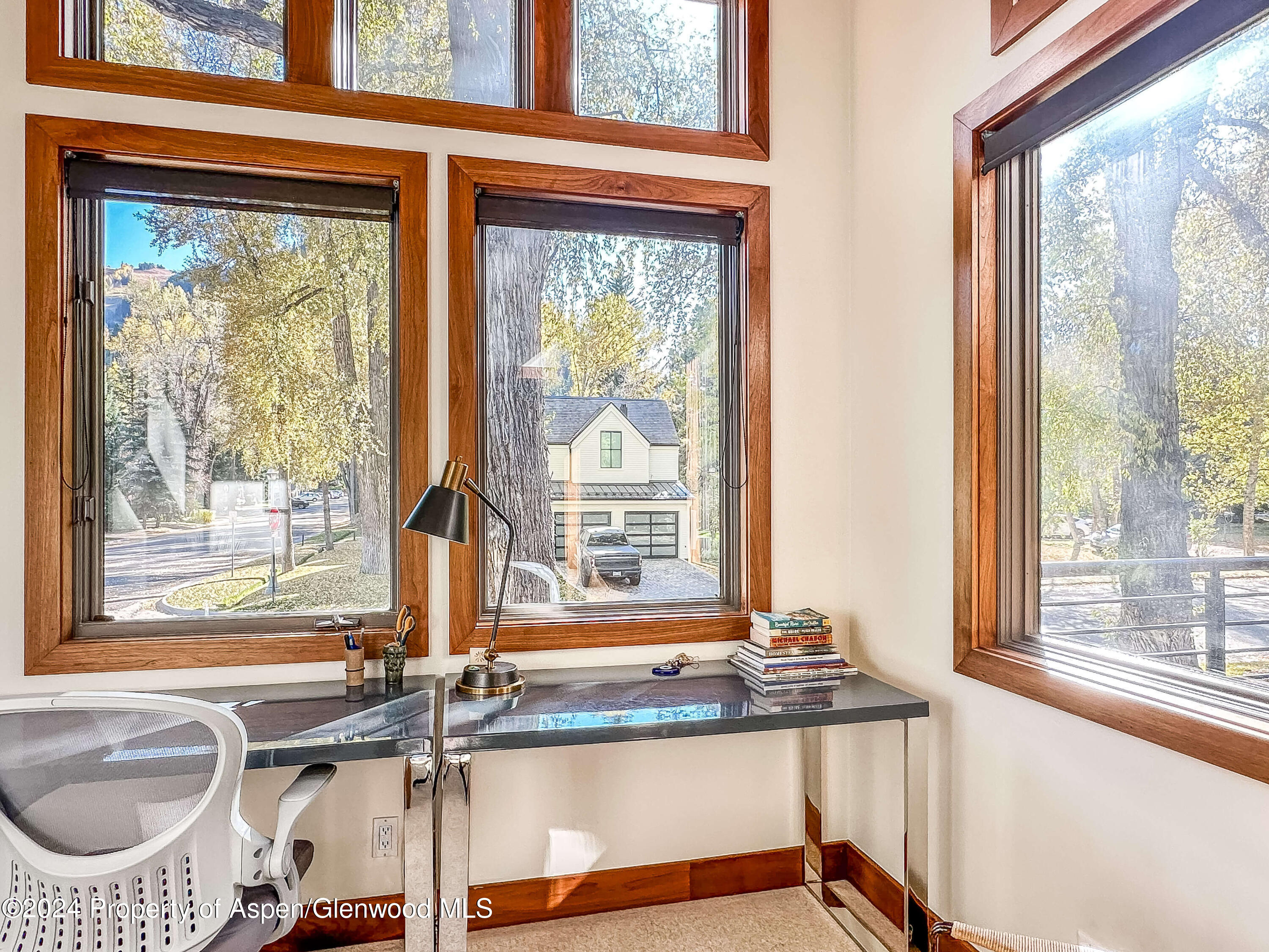 602 W Hallam Street Aspen CO 81611