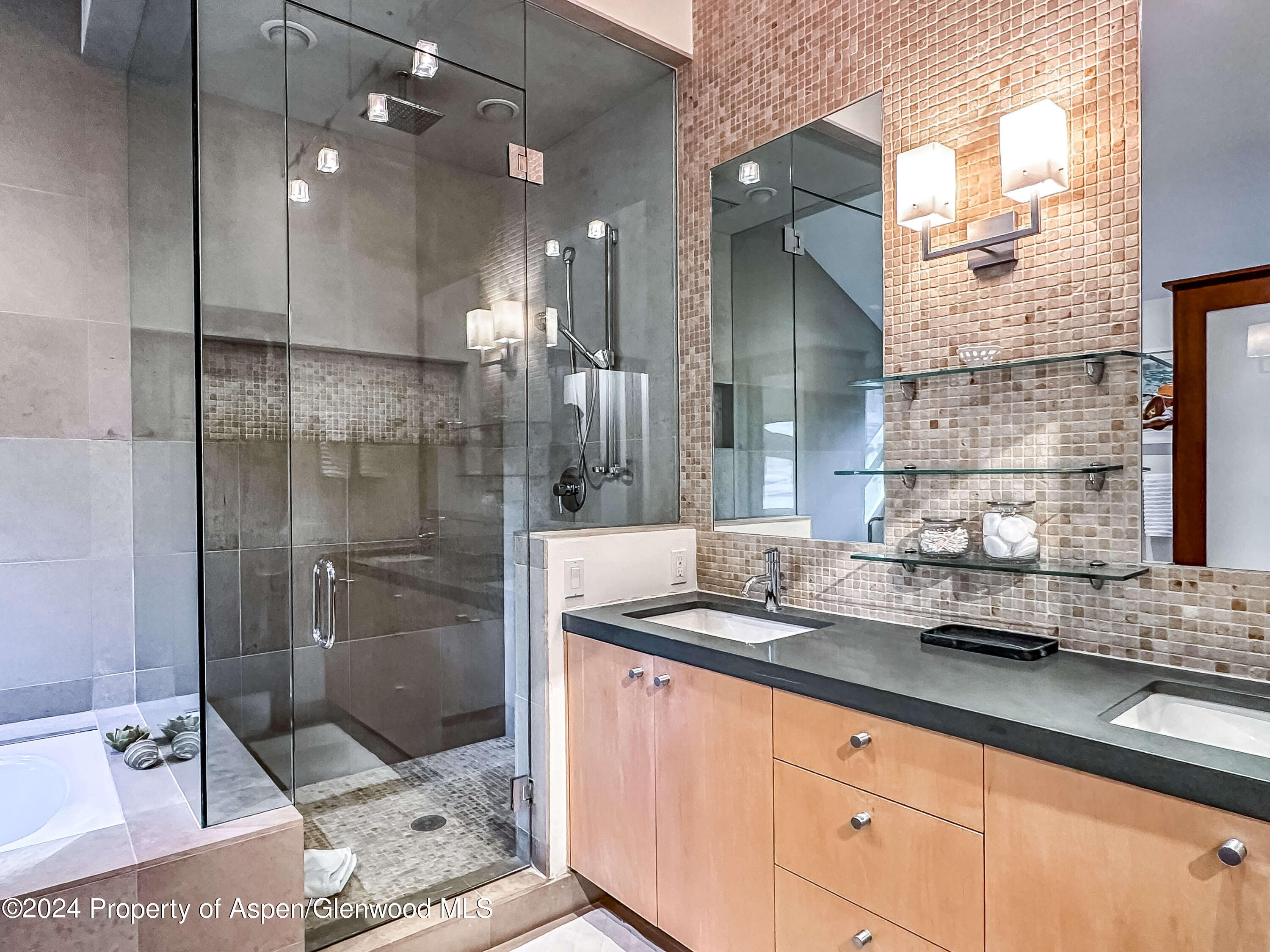 602 W Hallam Street Aspen CO 81611