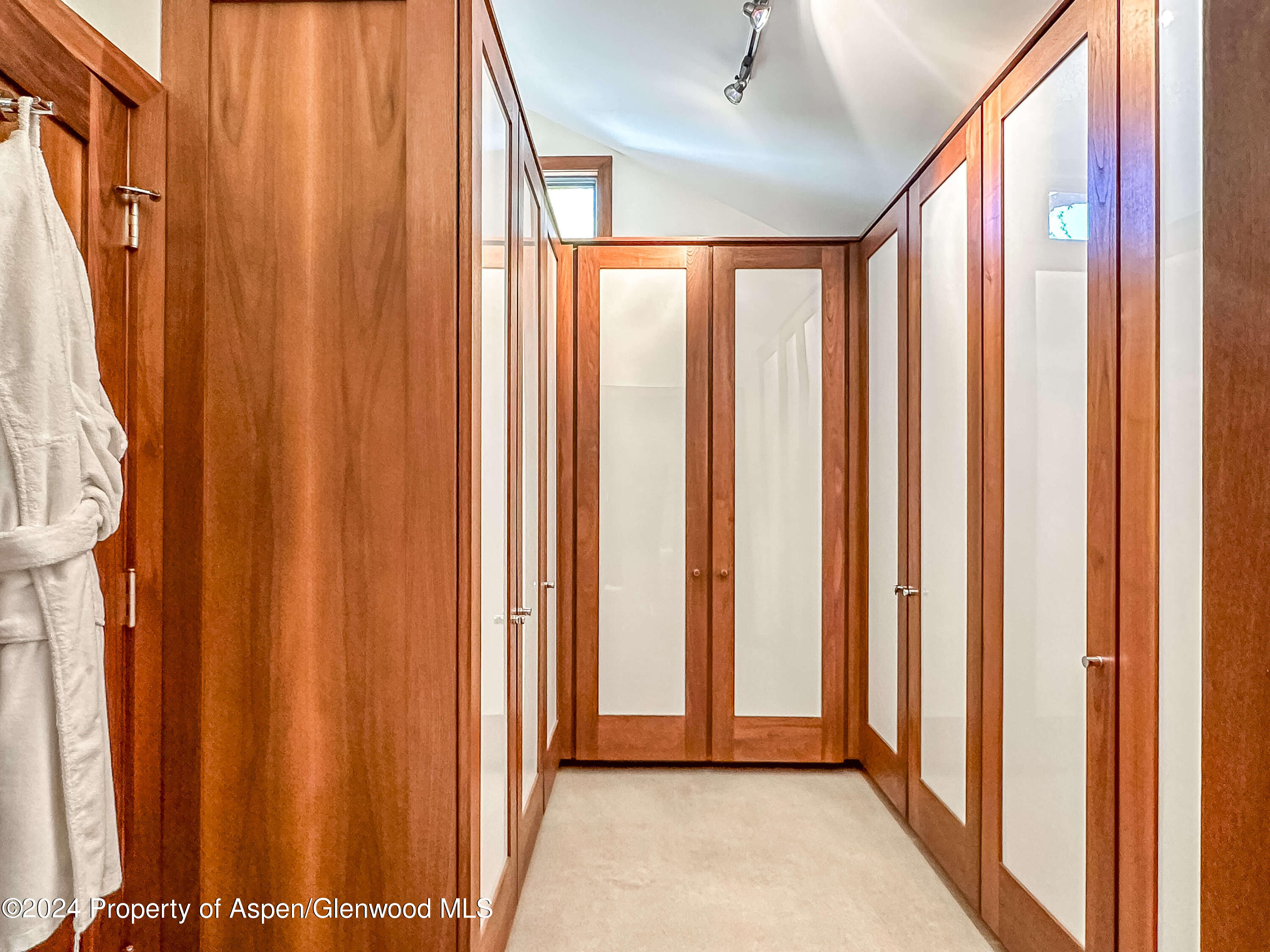602 W Hallam Street Aspen CO 81611
