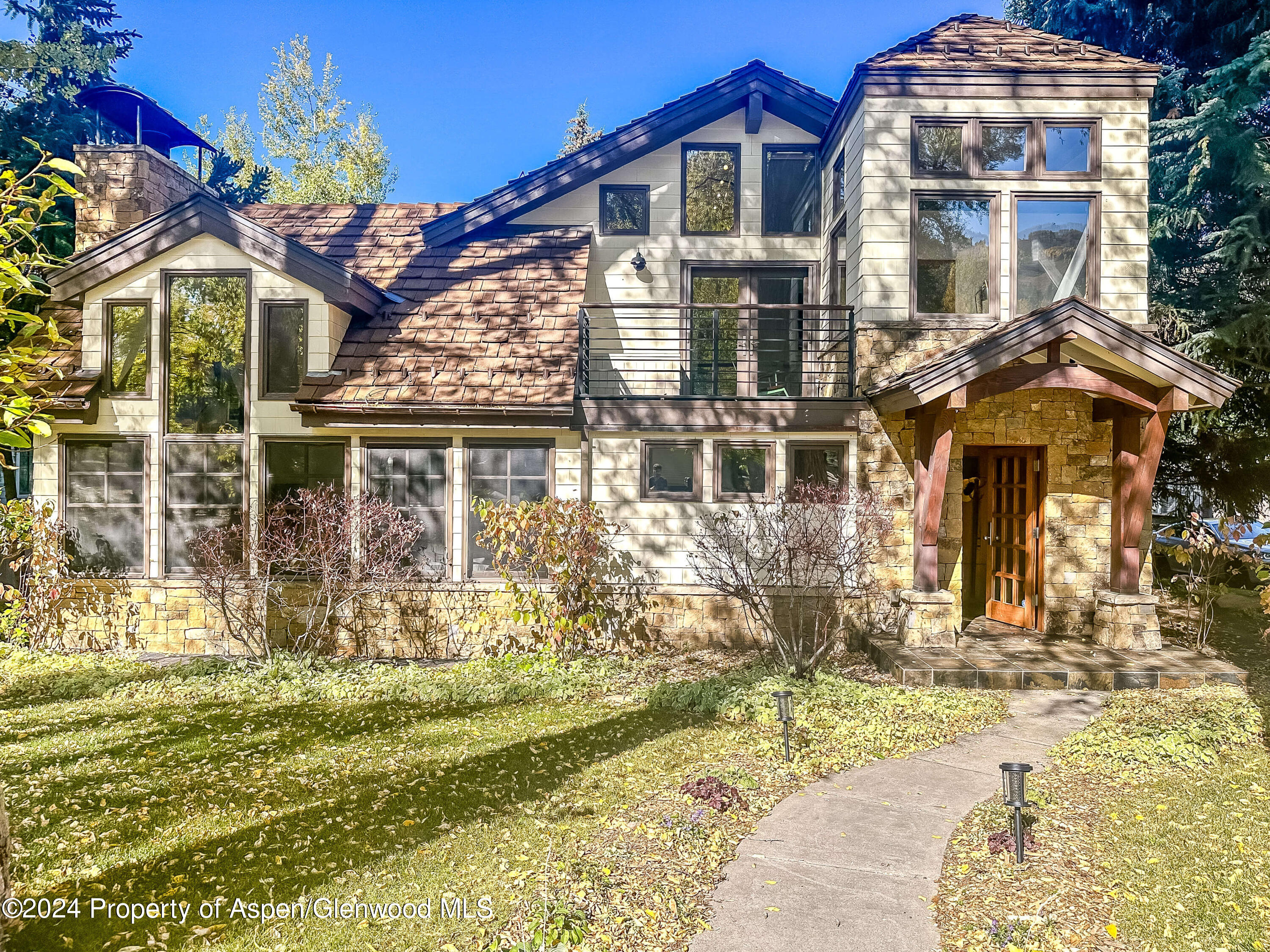 602 W Hallam Street Aspen CO 81611