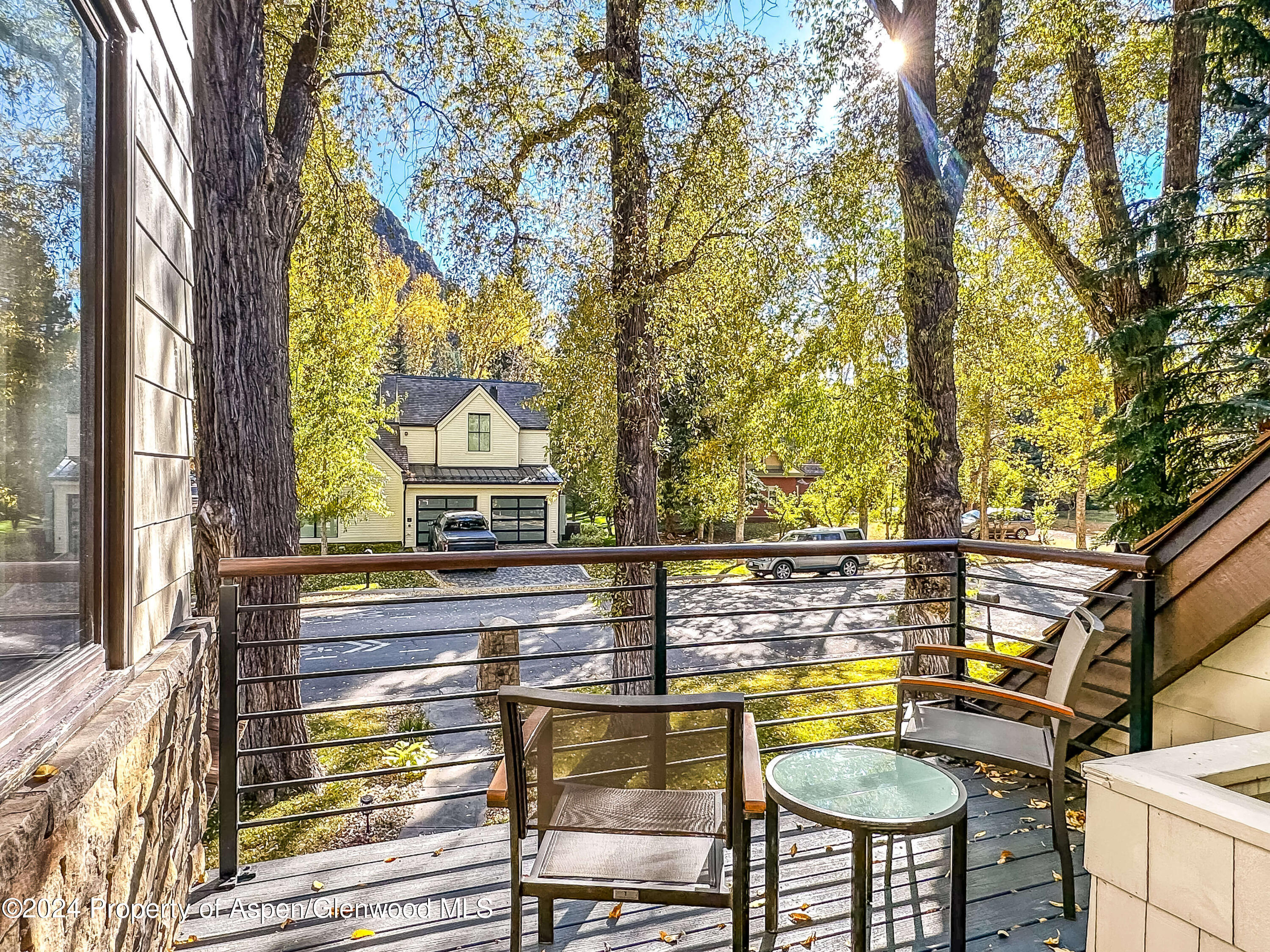 602 W Hallam Street Aspen CO 81611