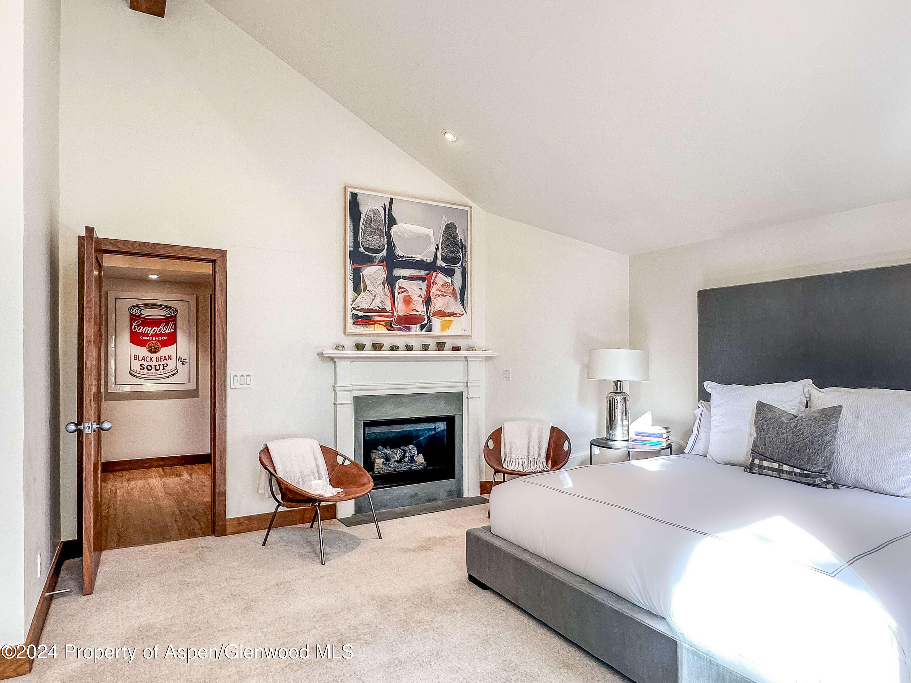 602 W Hallam Street Aspen CO 81611
