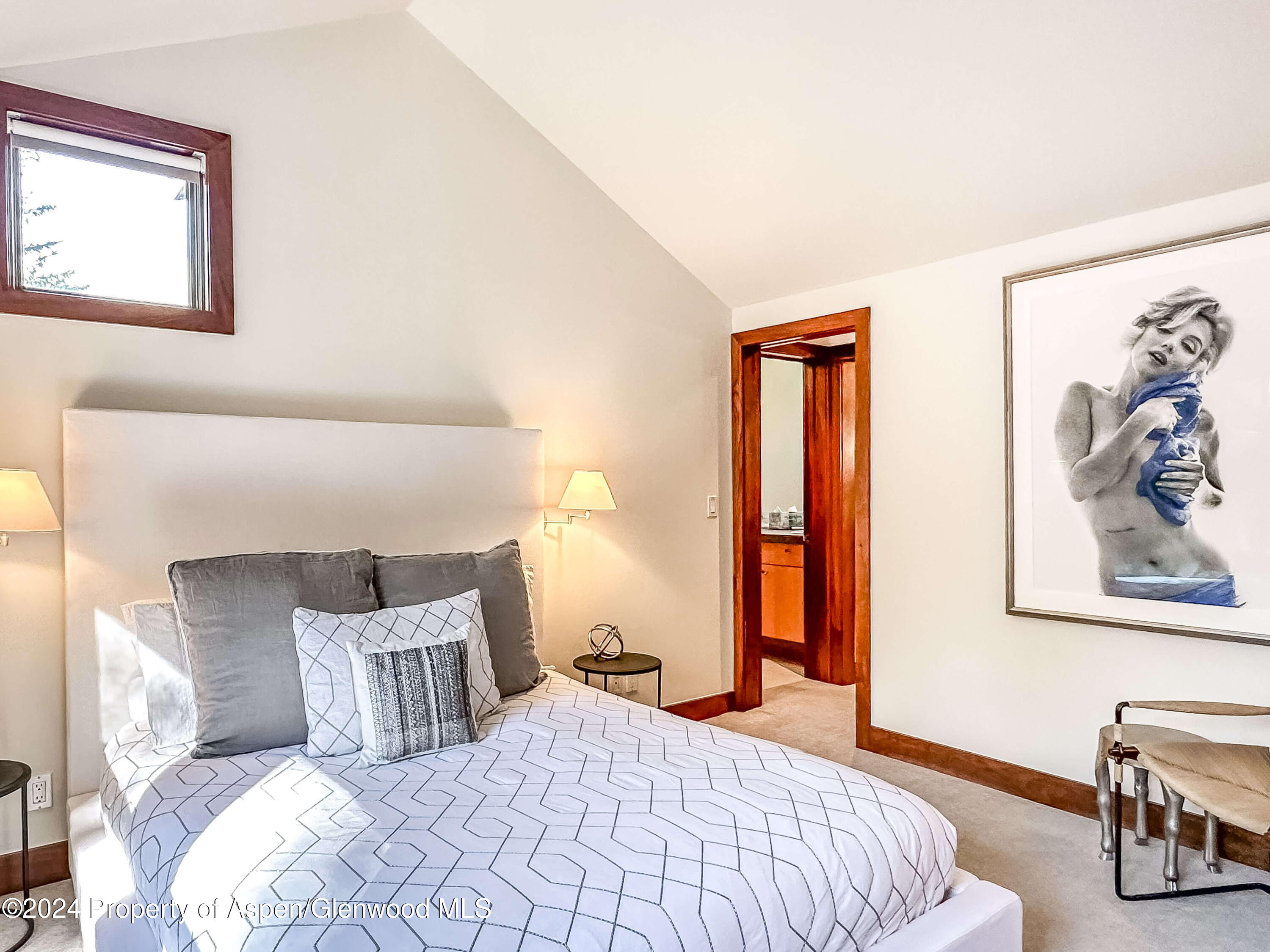 602 W Hallam Street Aspen CO 81611