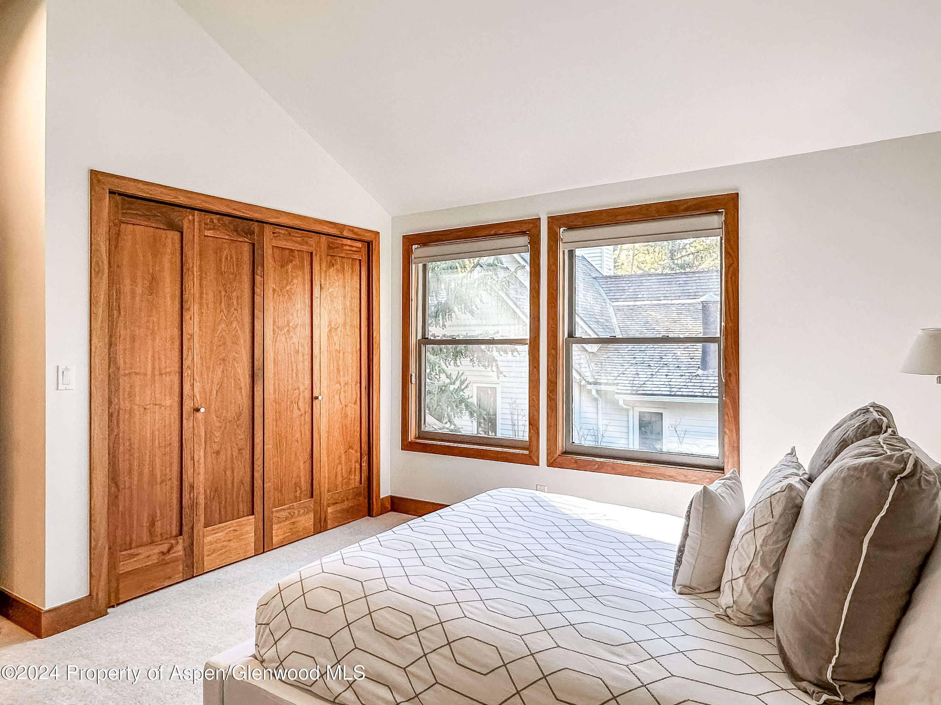 602 W Hallam Street Aspen CO 81611