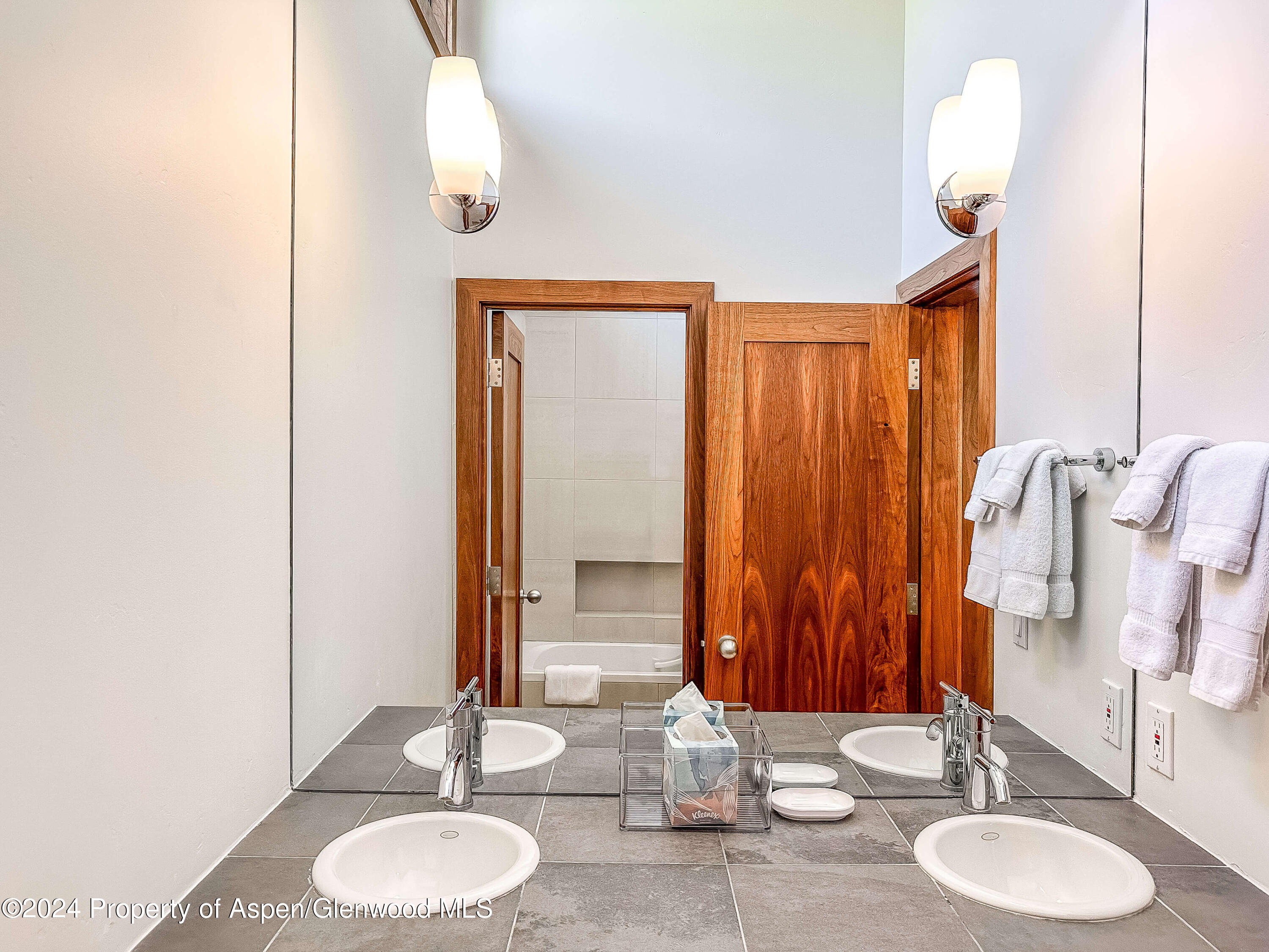 602 W Hallam Street Aspen CO 81611