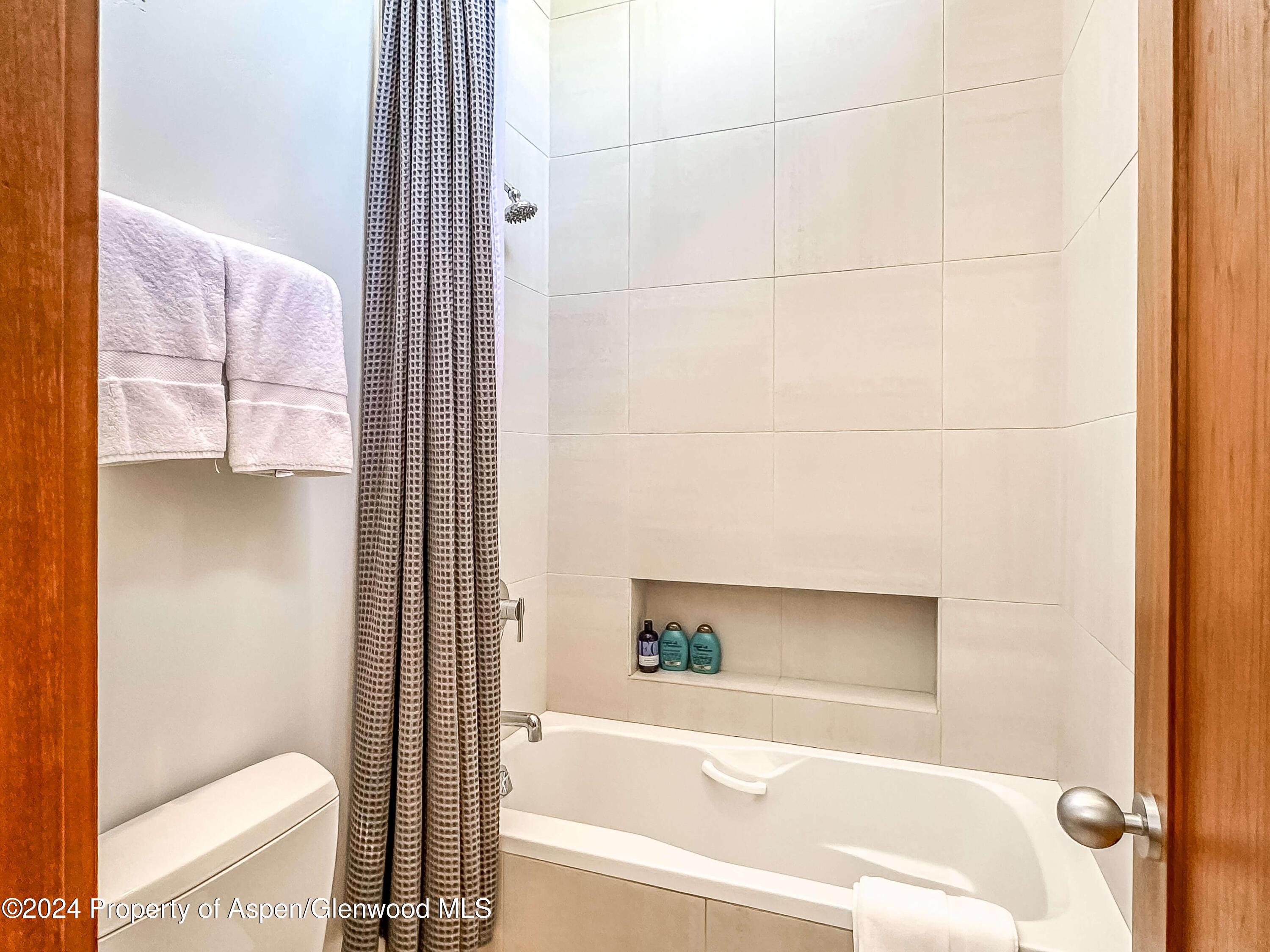 602 W Hallam Street Aspen CO 81611