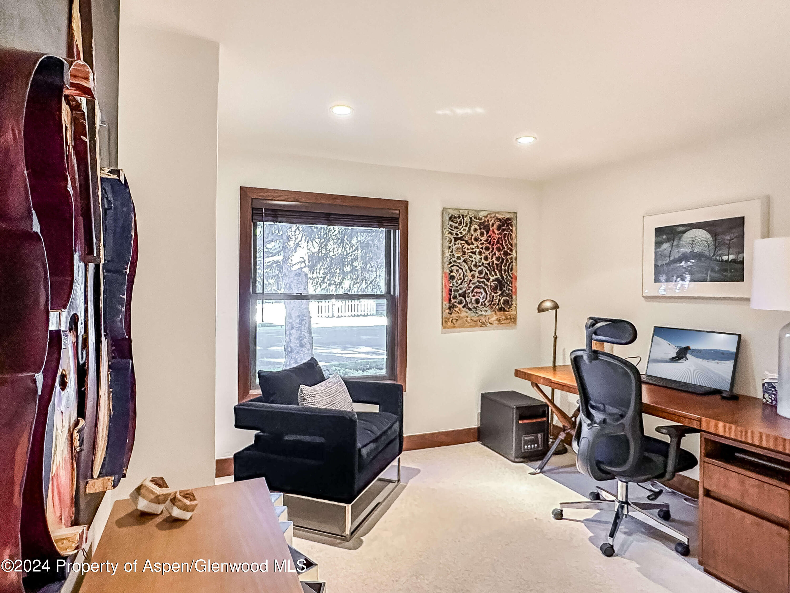 602 W Hallam Street Aspen CO 81611
