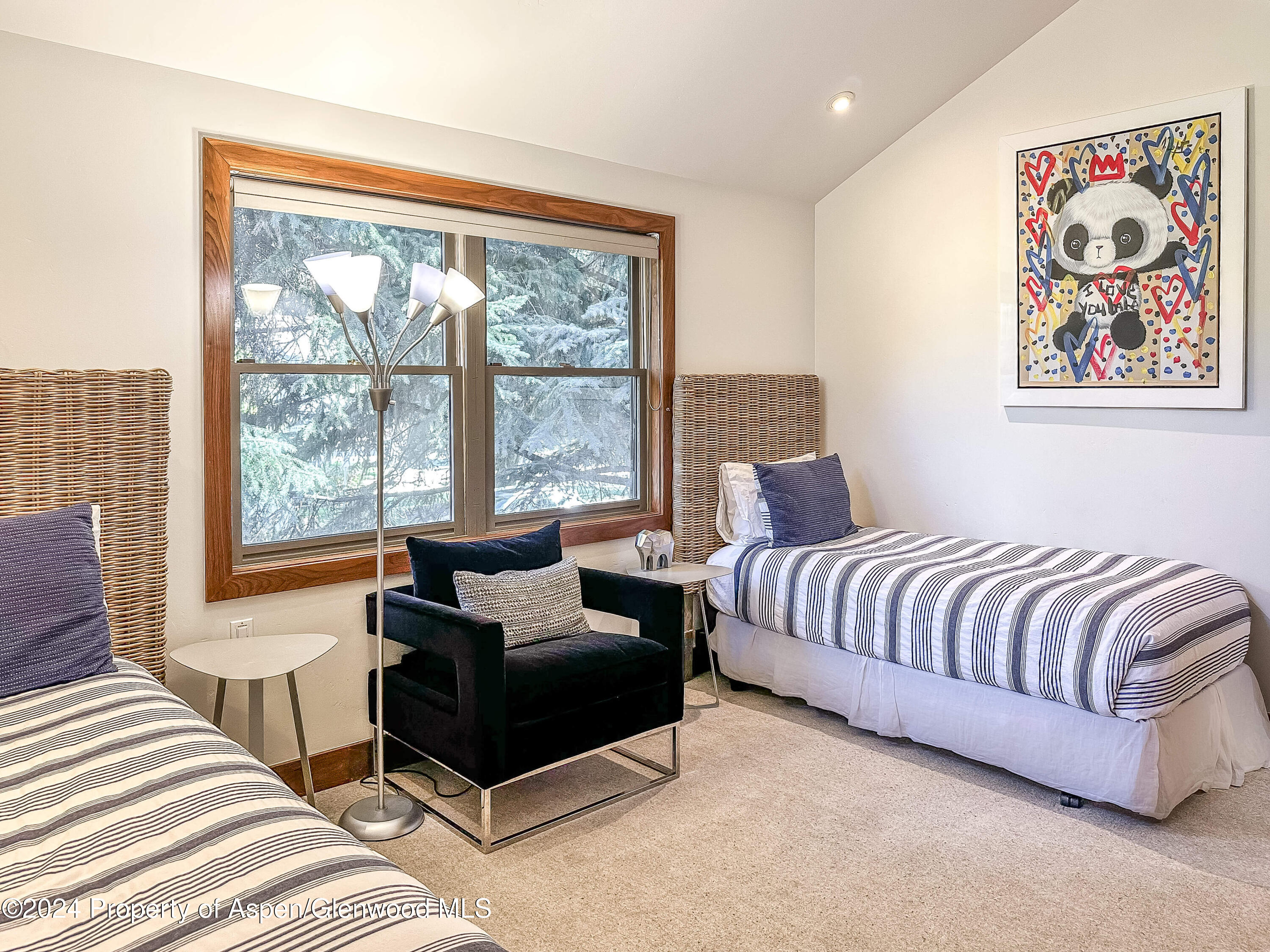 602 W Hallam Street Aspen CO 81611