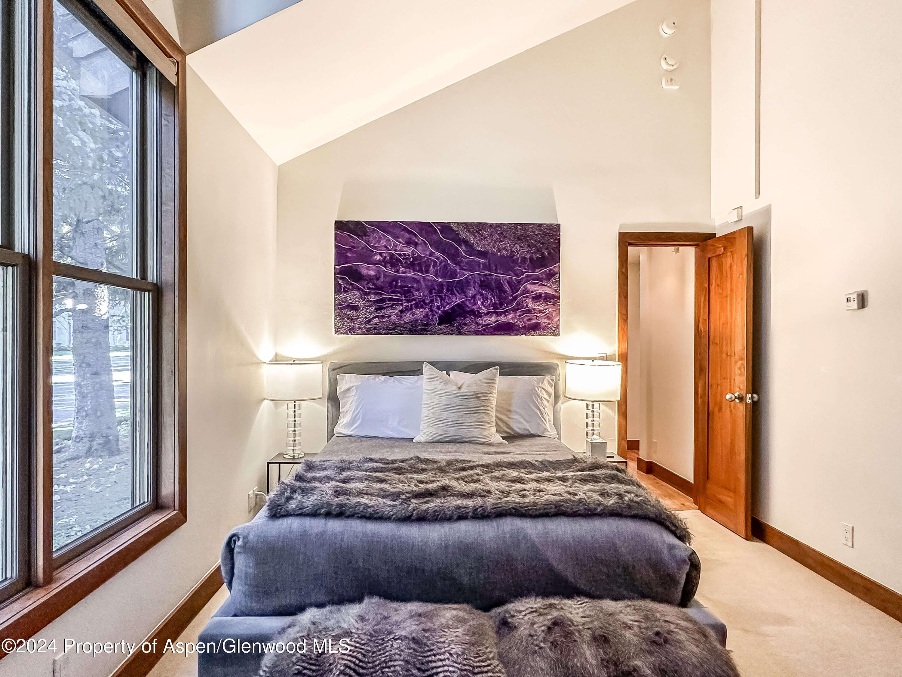 602 W Hallam Street Aspen CO 81611