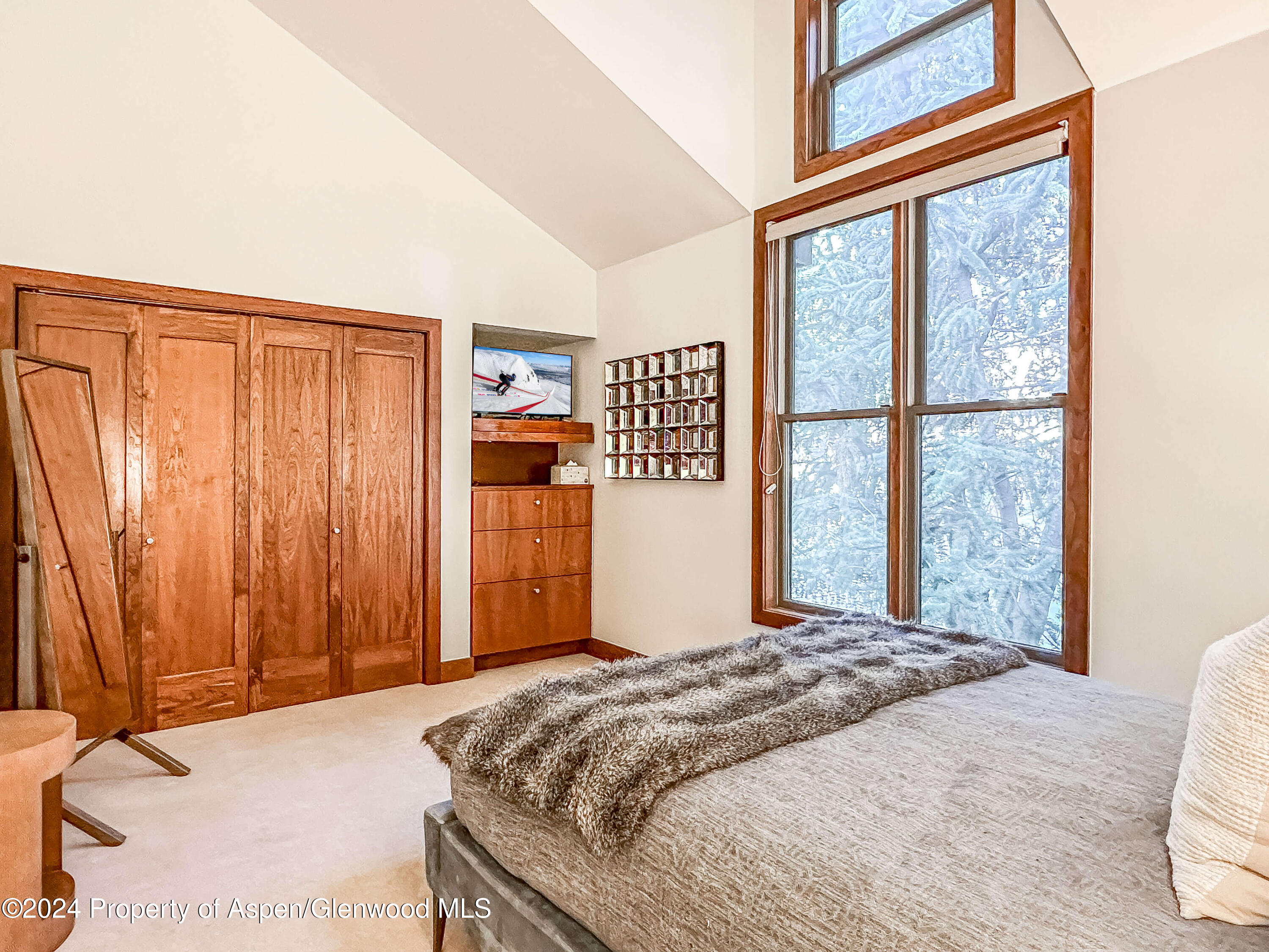 602 W Hallam Street Aspen CO 81611