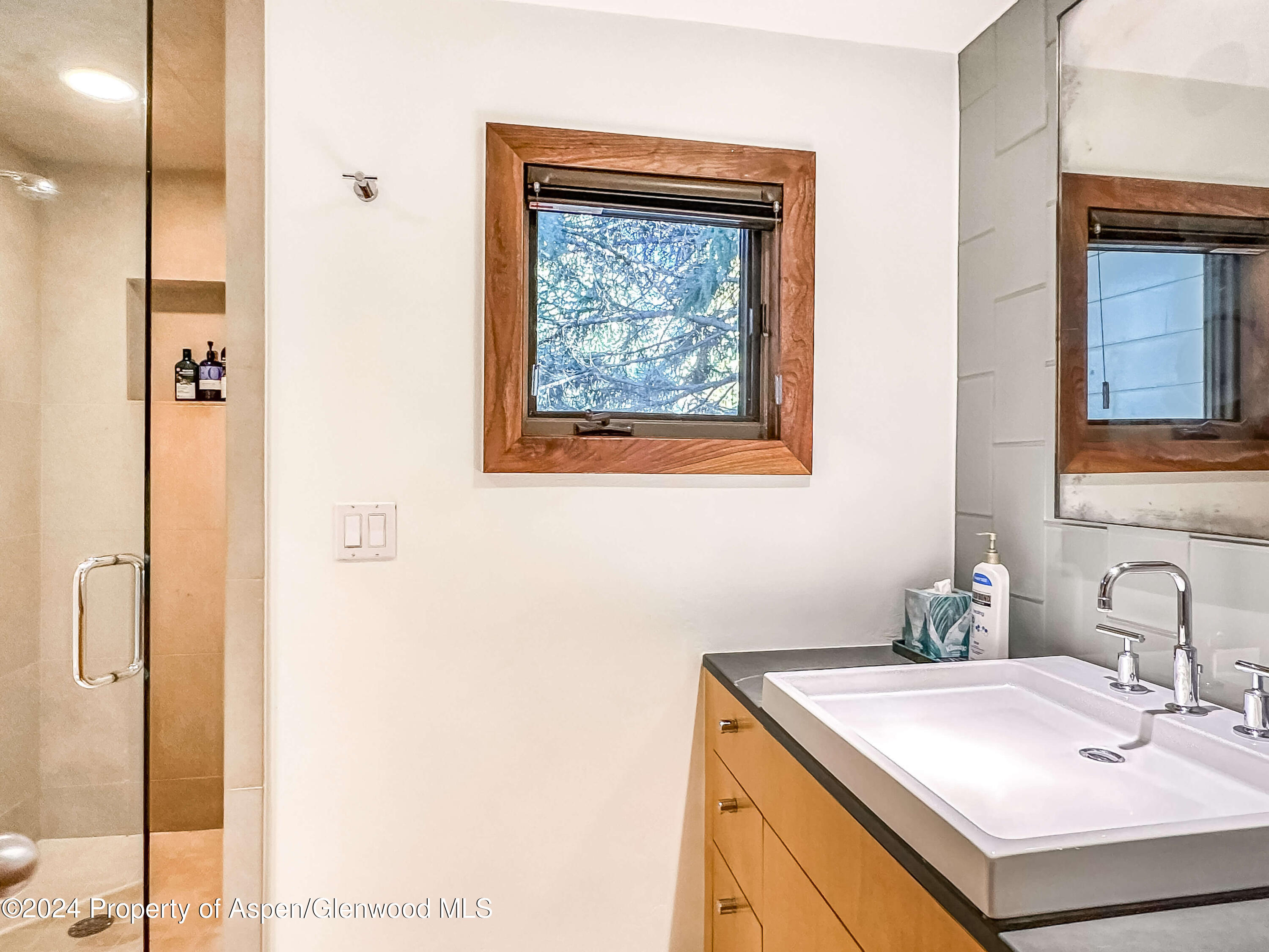 602 W Hallam Street Aspen CO 81611
