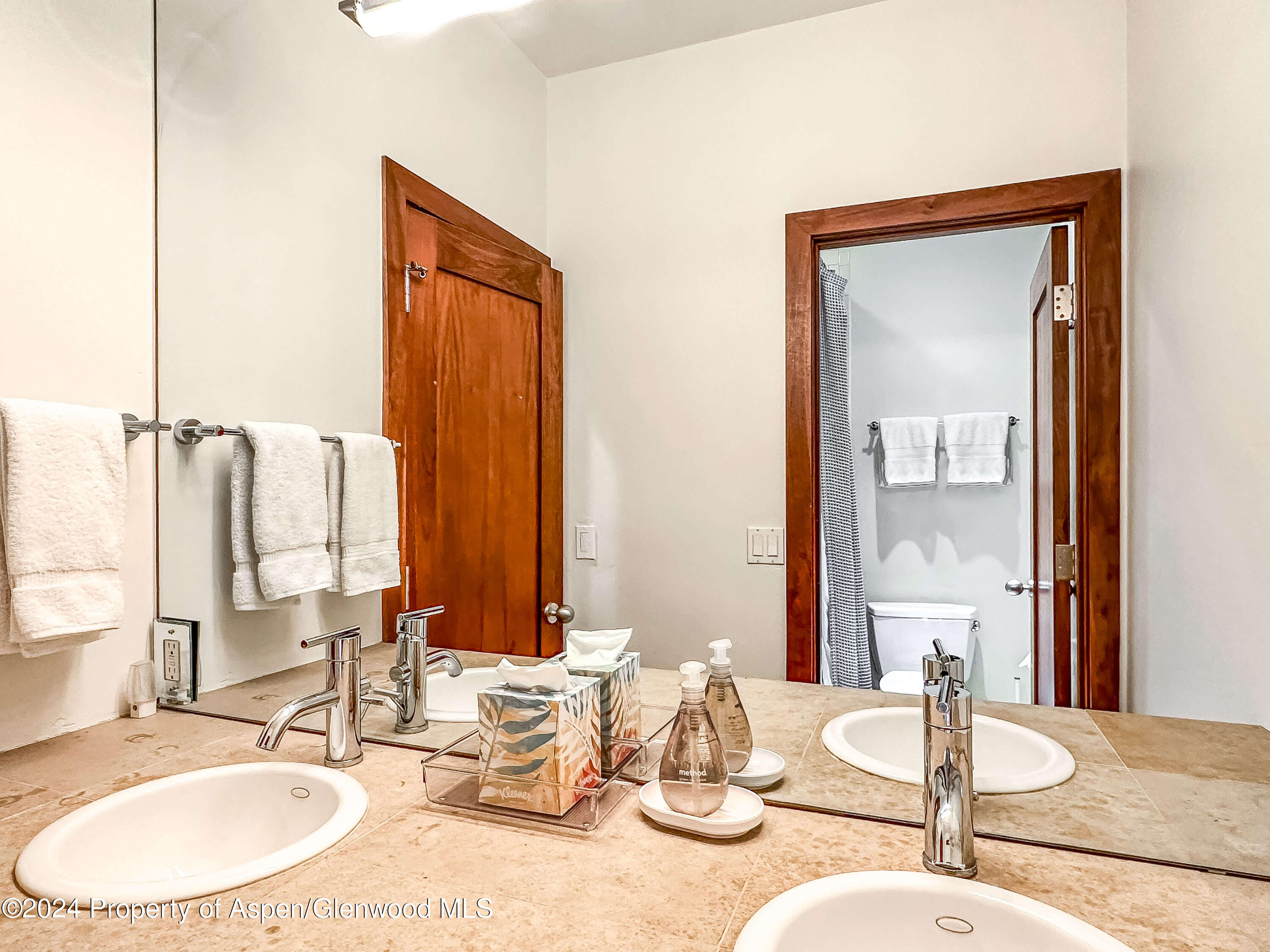 602 W Hallam Street Aspen CO 81611