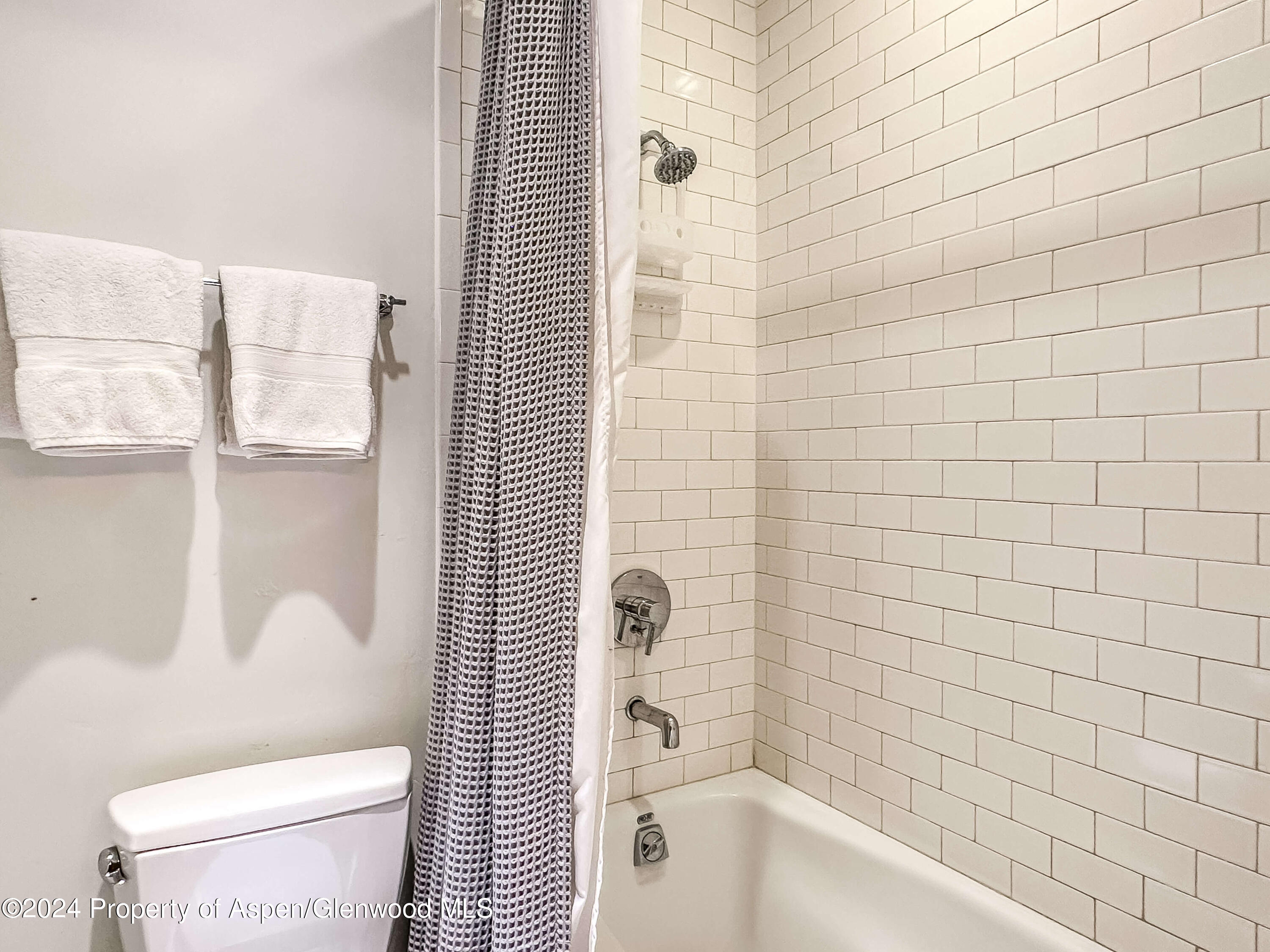 602 W Hallam Street Aspen CO 81611