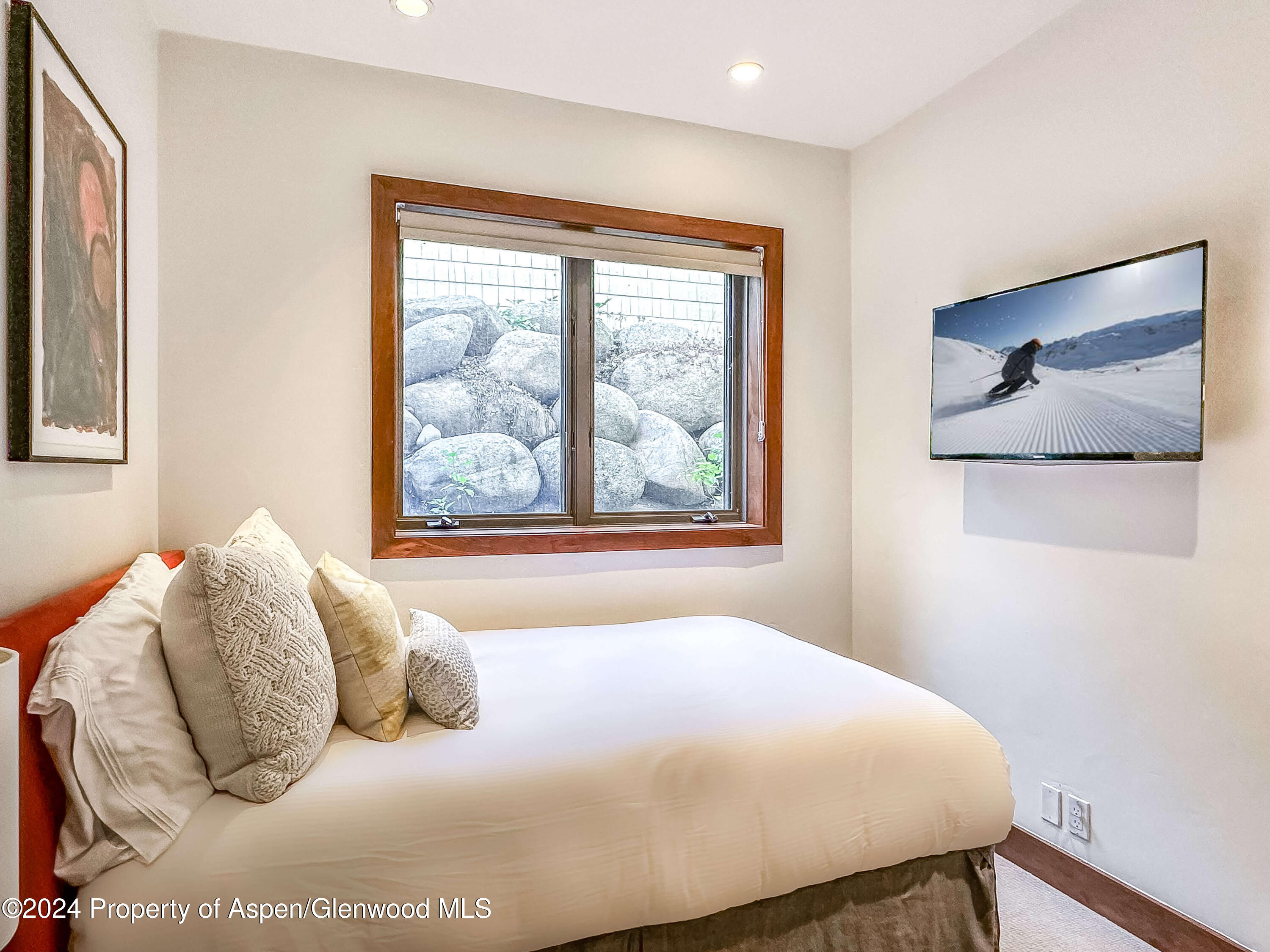 602 W Hallam Street Aspen CO 81611
