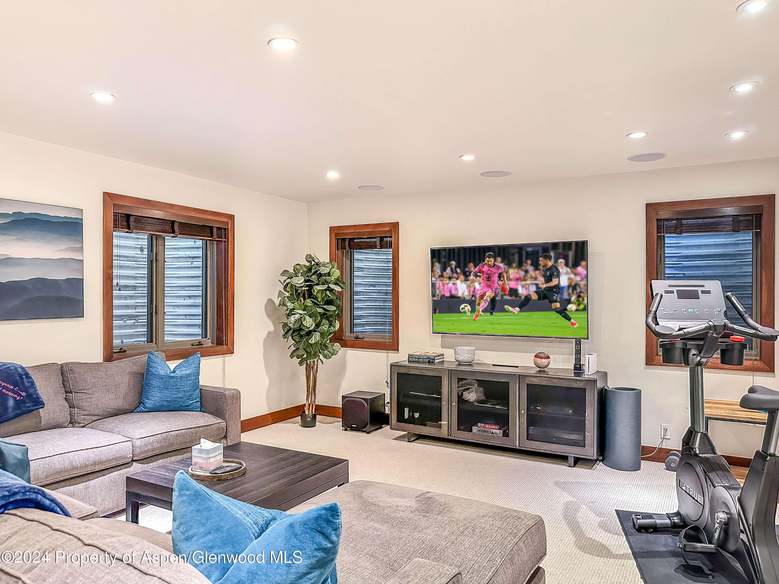602 W Hallam Street Aspen CO 81611