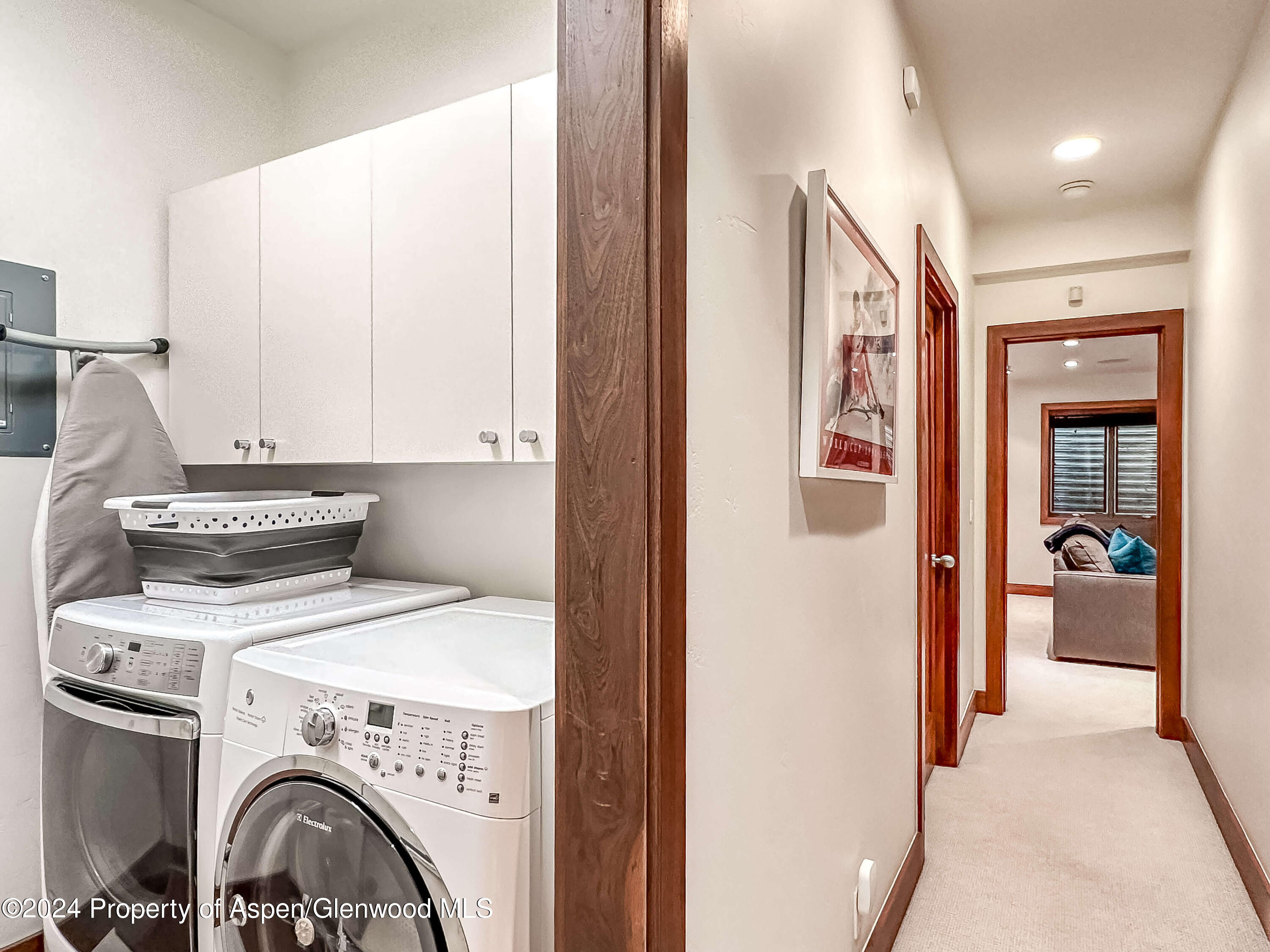 602 W Hallam Street Aspen CO 81611