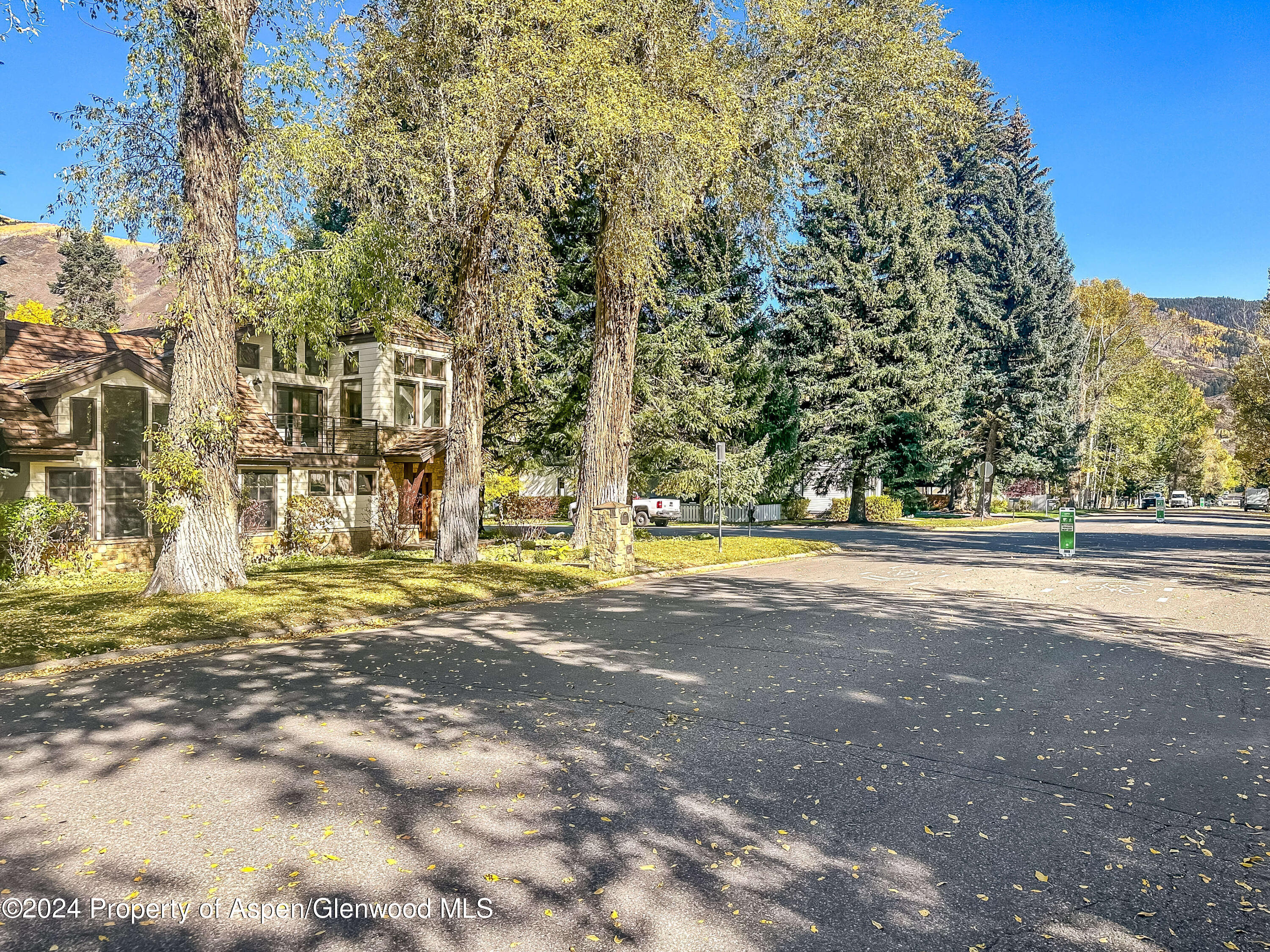 602 W Hallam Street Aspen CO 81611