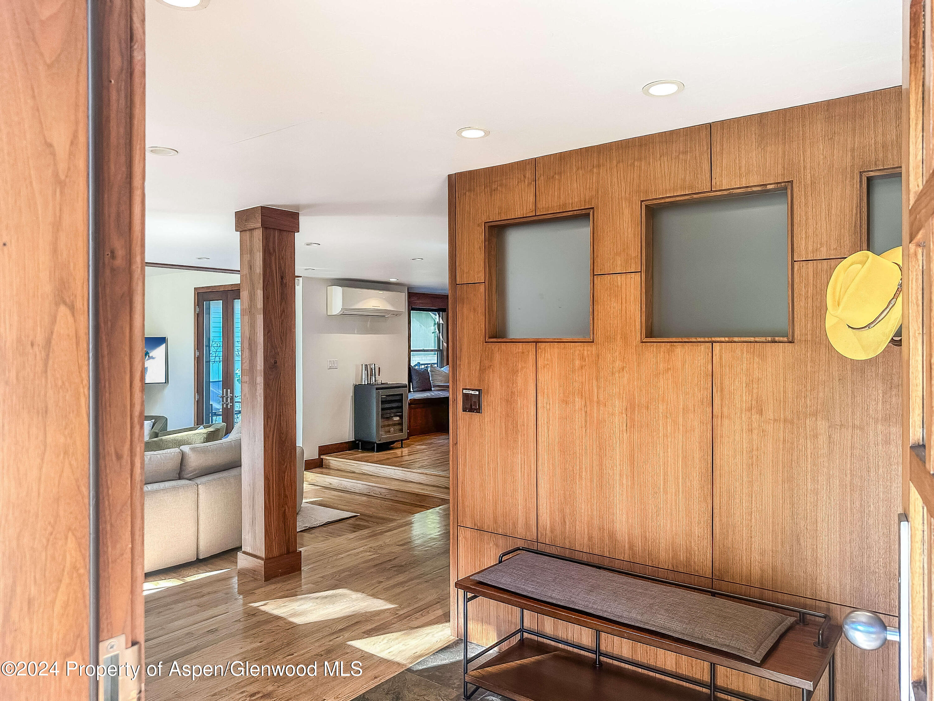 602 W Hallam Street Aspen CO 81611