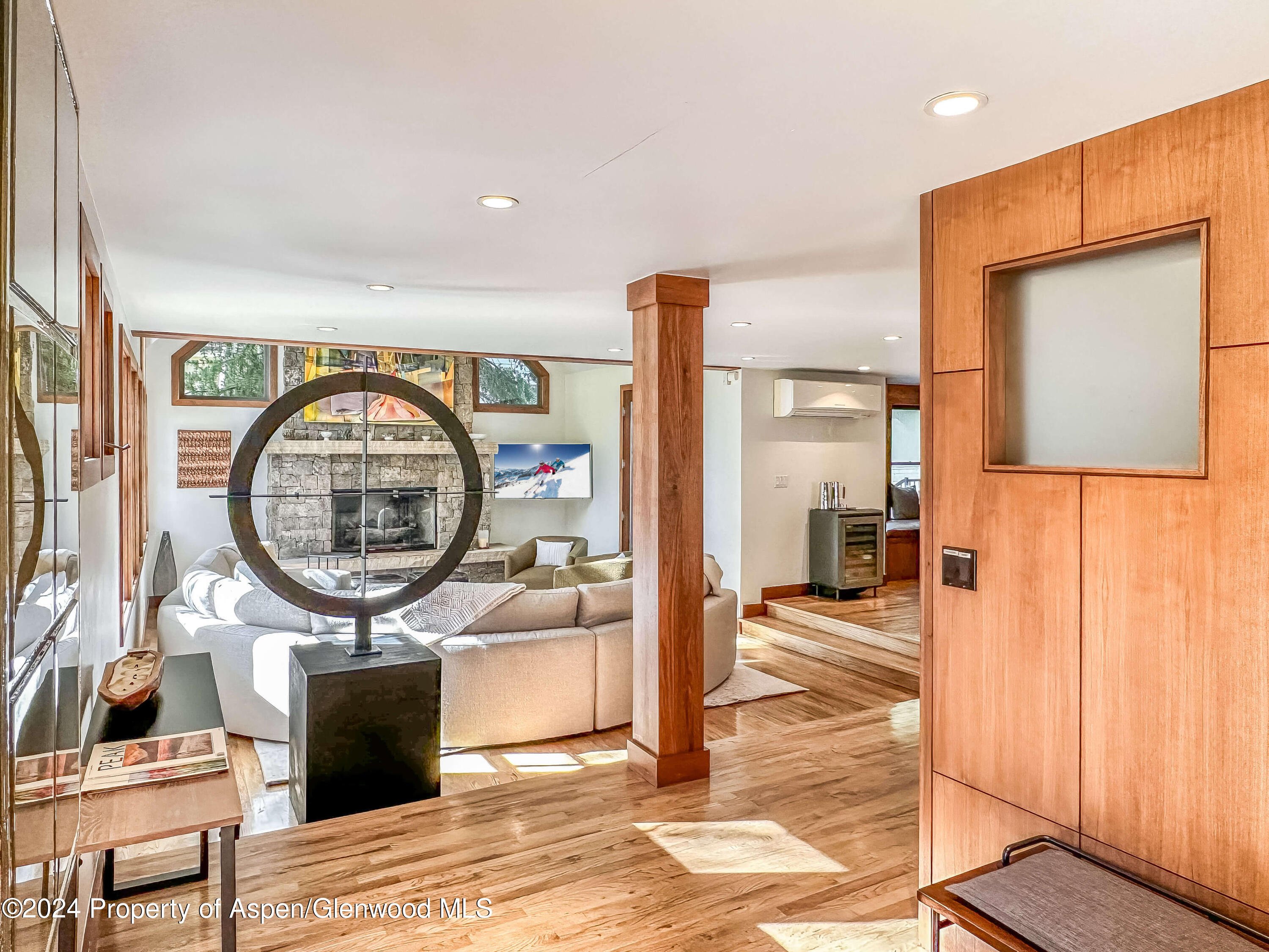 602 W Hallam Street Aspen CO 81611