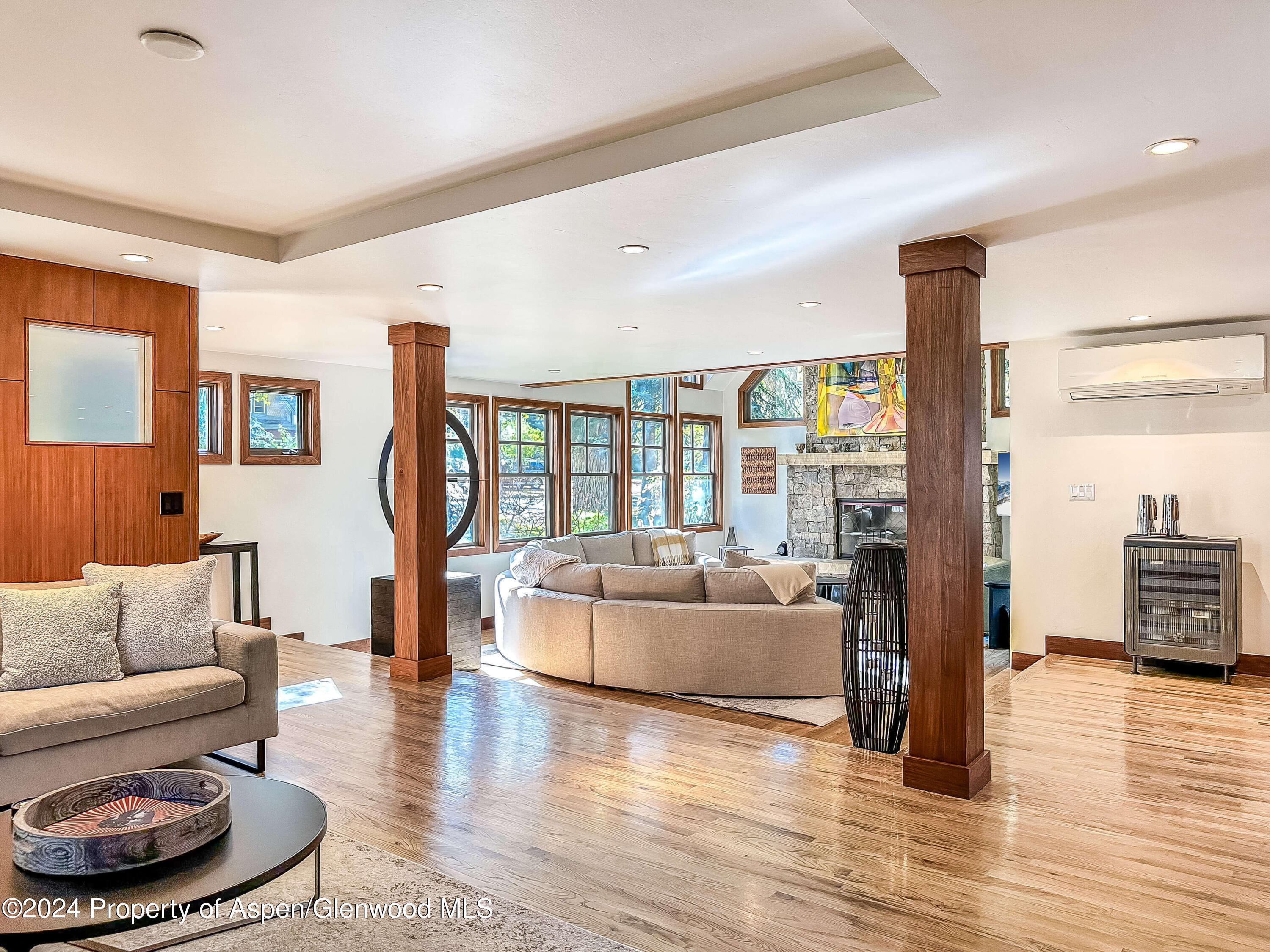602 W Hallam Street Aspen CO 81611