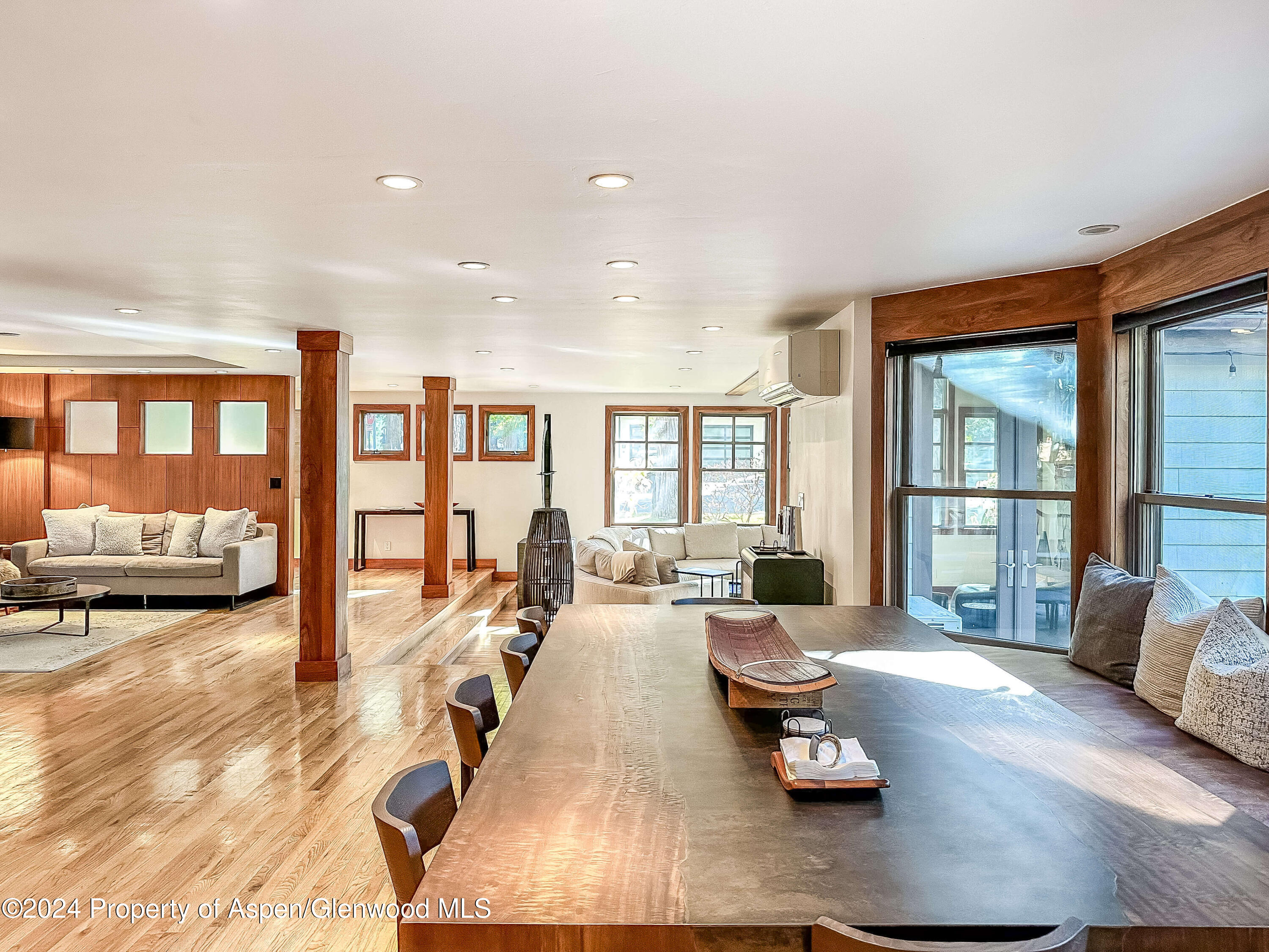 602 W Hallam Street Aspen CO 81611