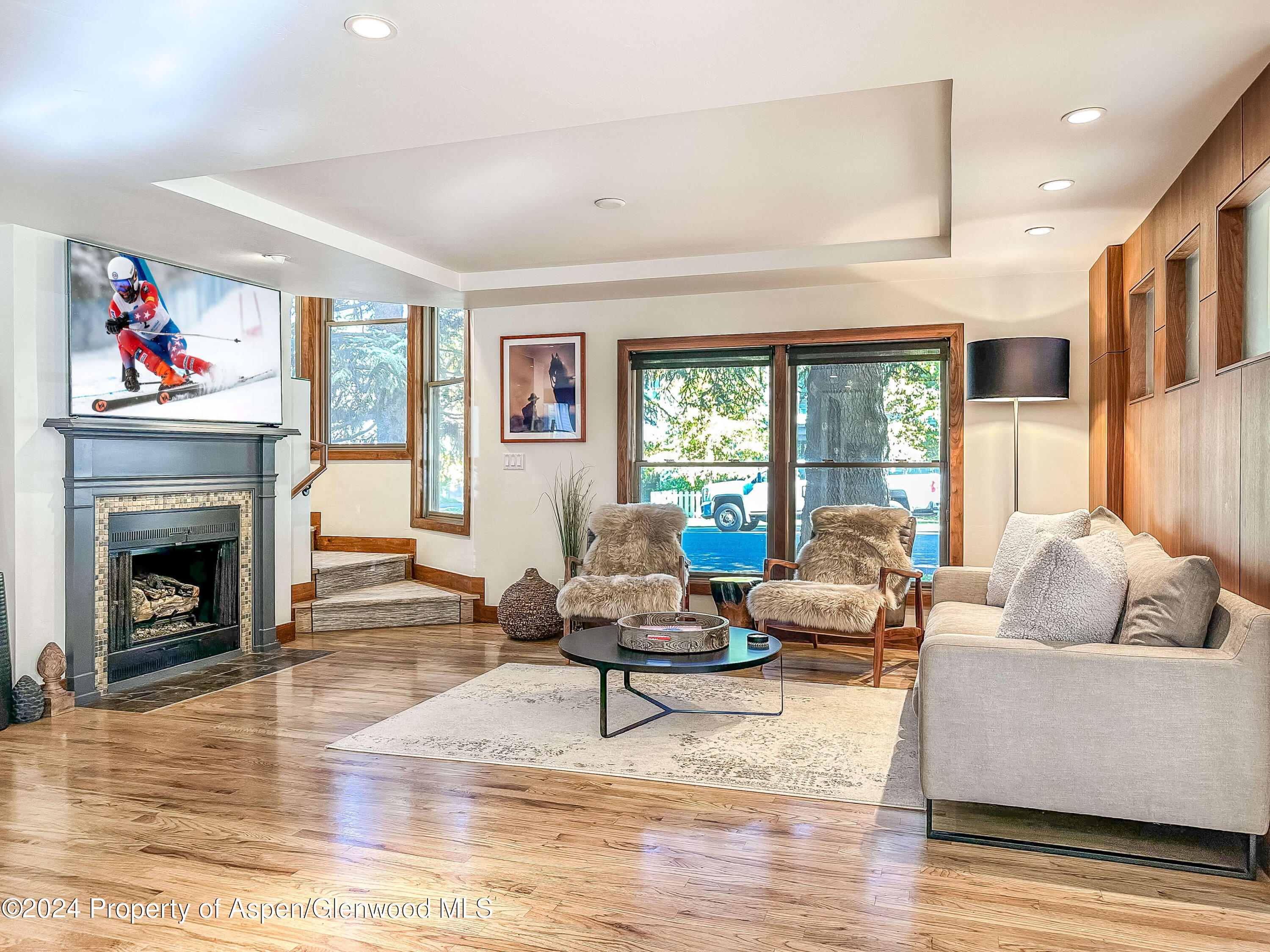 602 W Hallam Street Aspen CO 81611