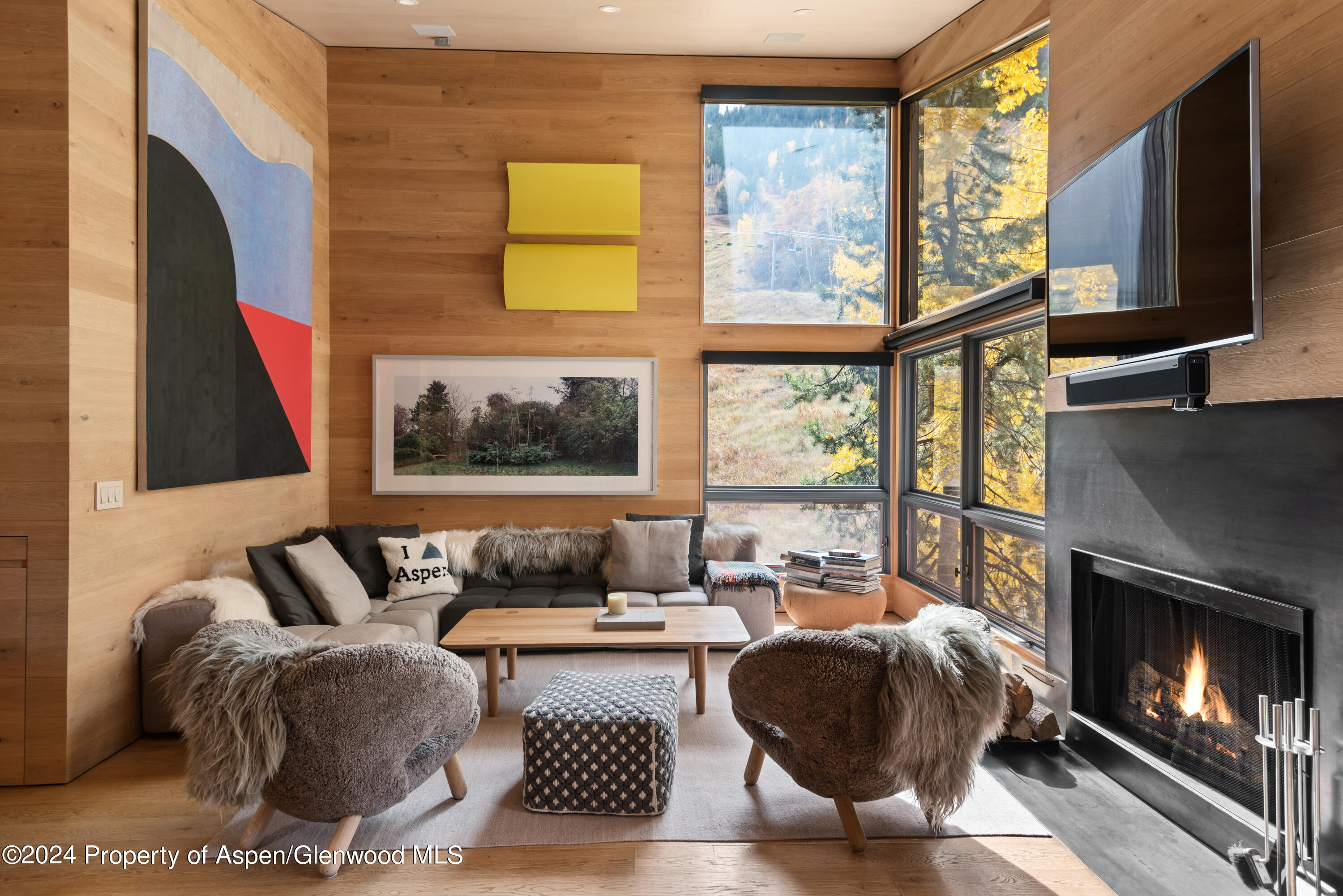 800 S Monarch Street Aspen CO 81611