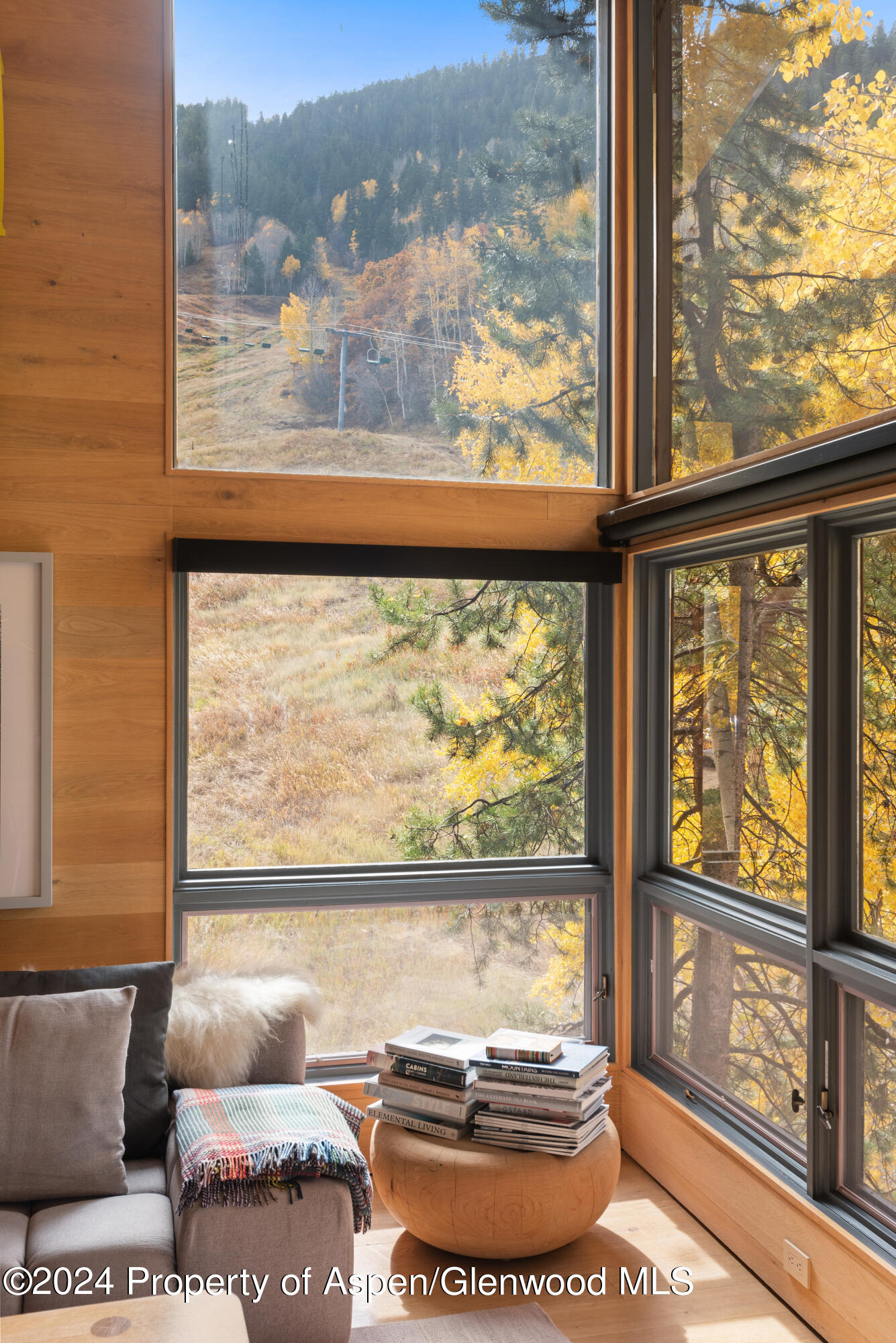 800 S Monarch Street Aspen CO 81611