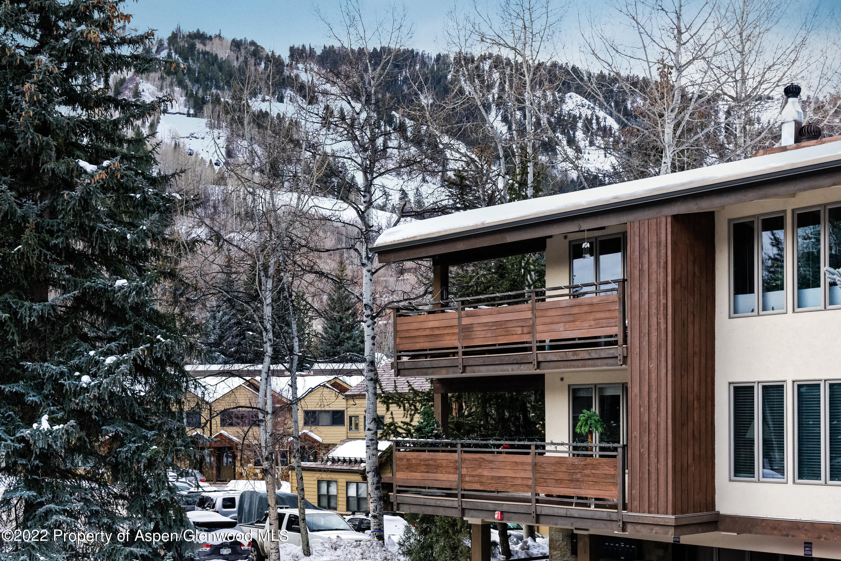 611 S West End Street Aspen CO 81611