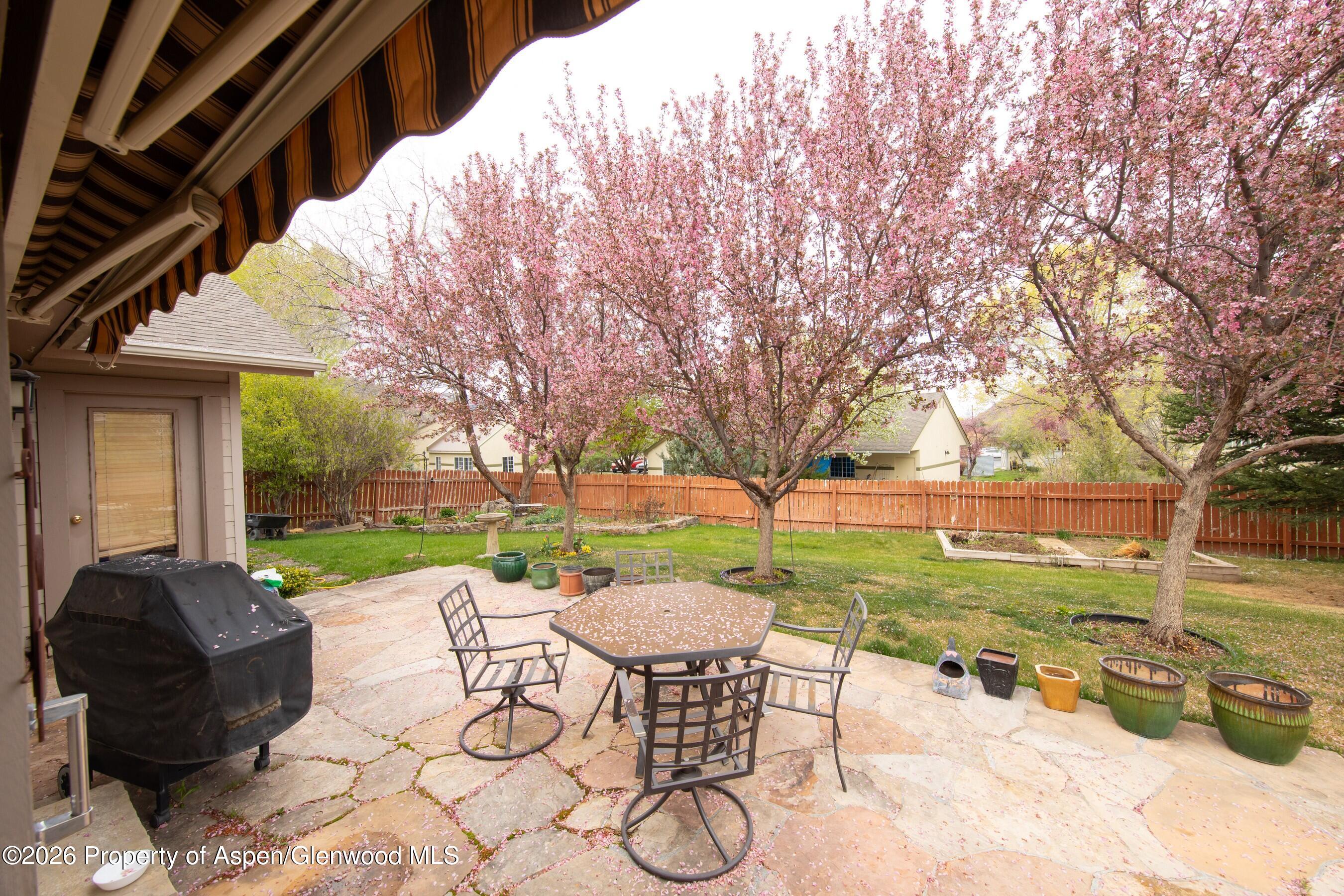 796 Melissa Lane Carbondale CO 81623