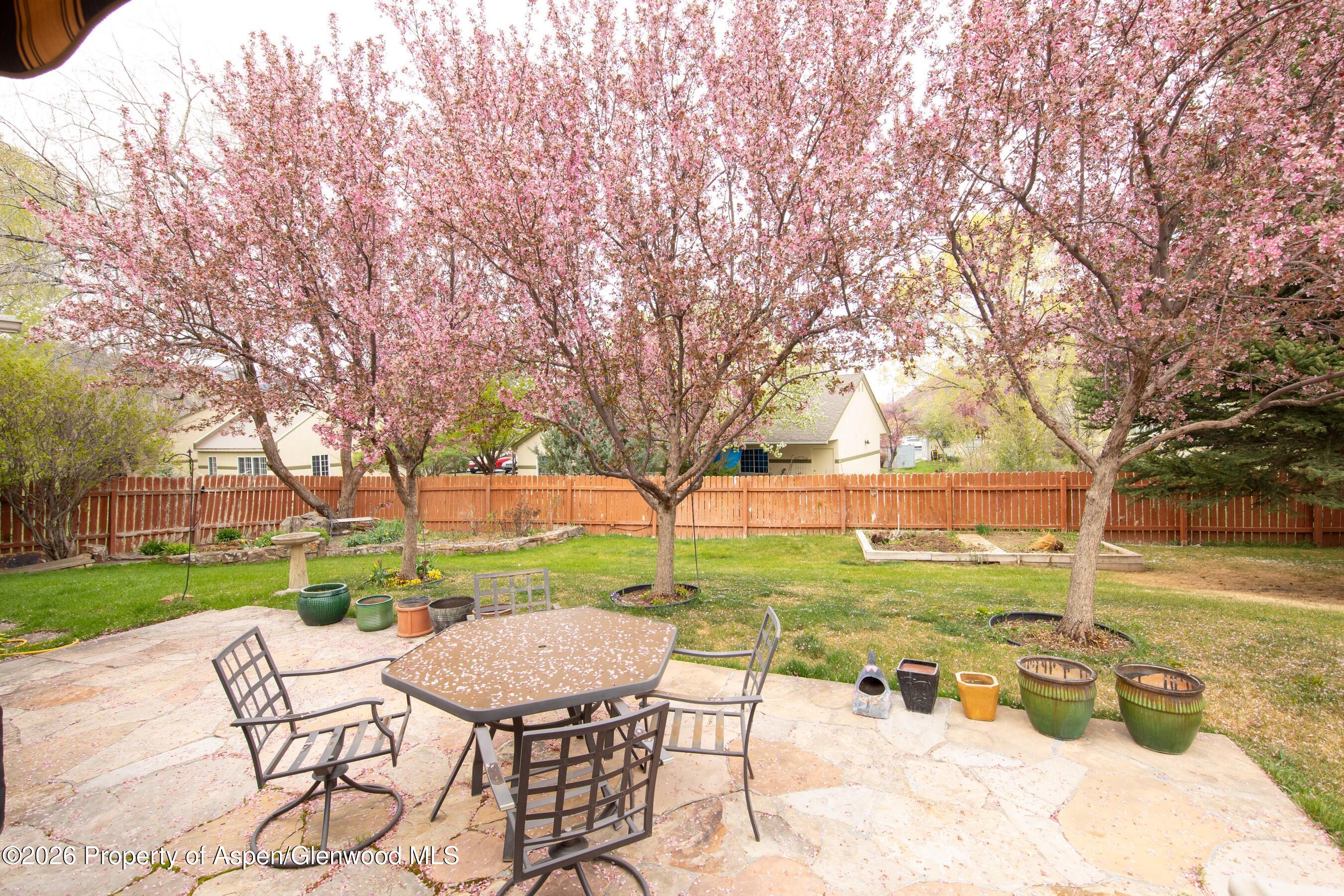 796 Melissa Lane Carbondale CO 81623