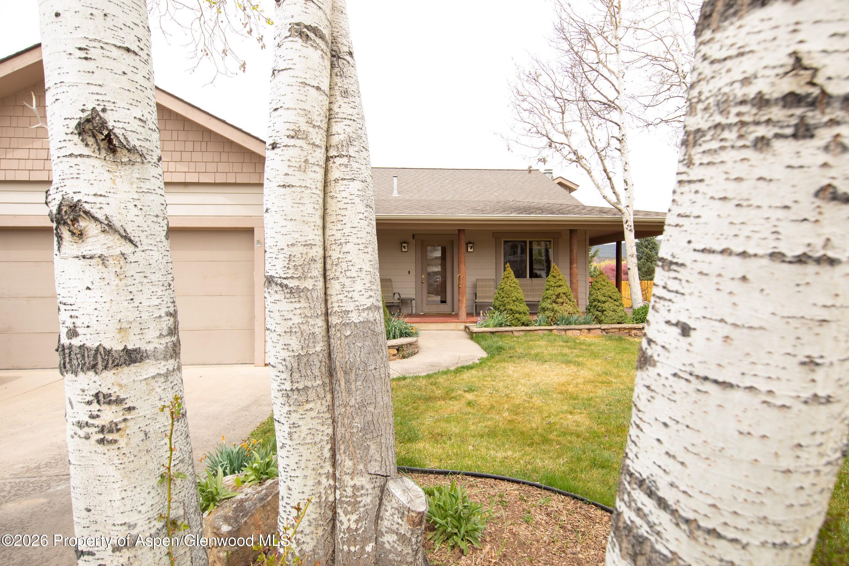 796 Melissa Lane Carbondale CO 81623