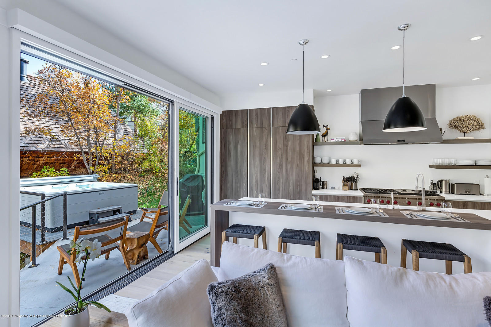 1098 E Waters Avenue Aspen CO 81611