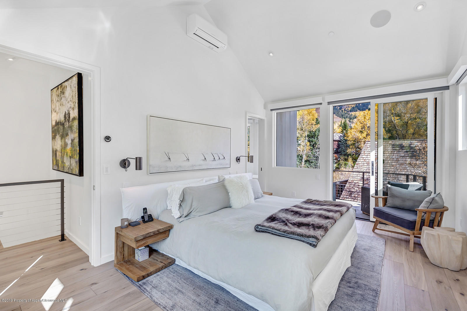 1098 E Waters Avenue Aspen CO 81611