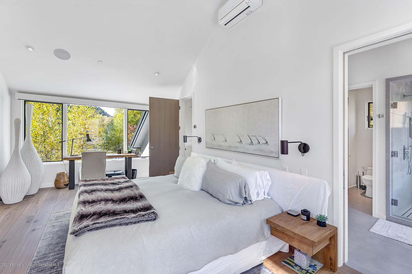 1098 E Waters Avenue Aspen CO 81611