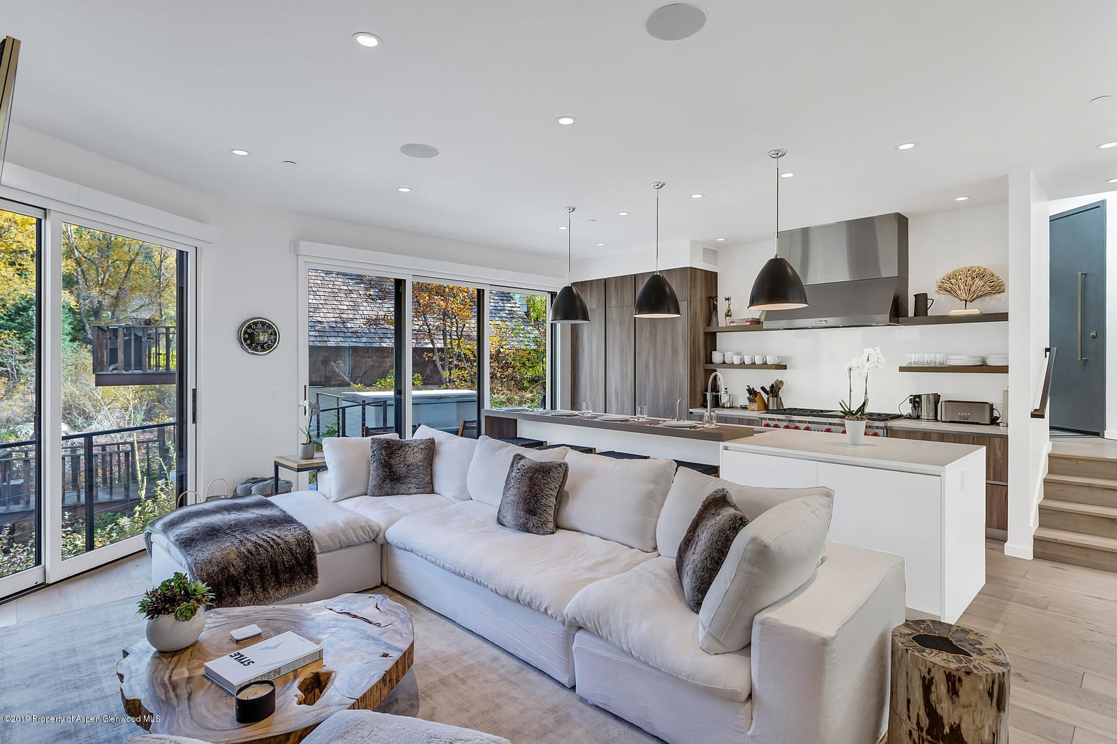 1098 E Waters Avenue Aspen CO 81611