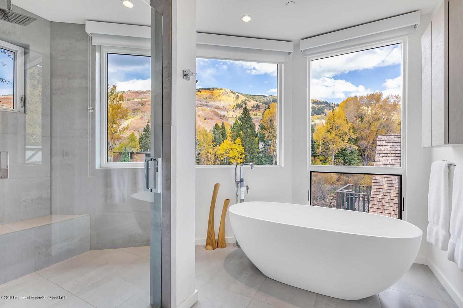 1098 E Waters Avenue Aspen CO 81611