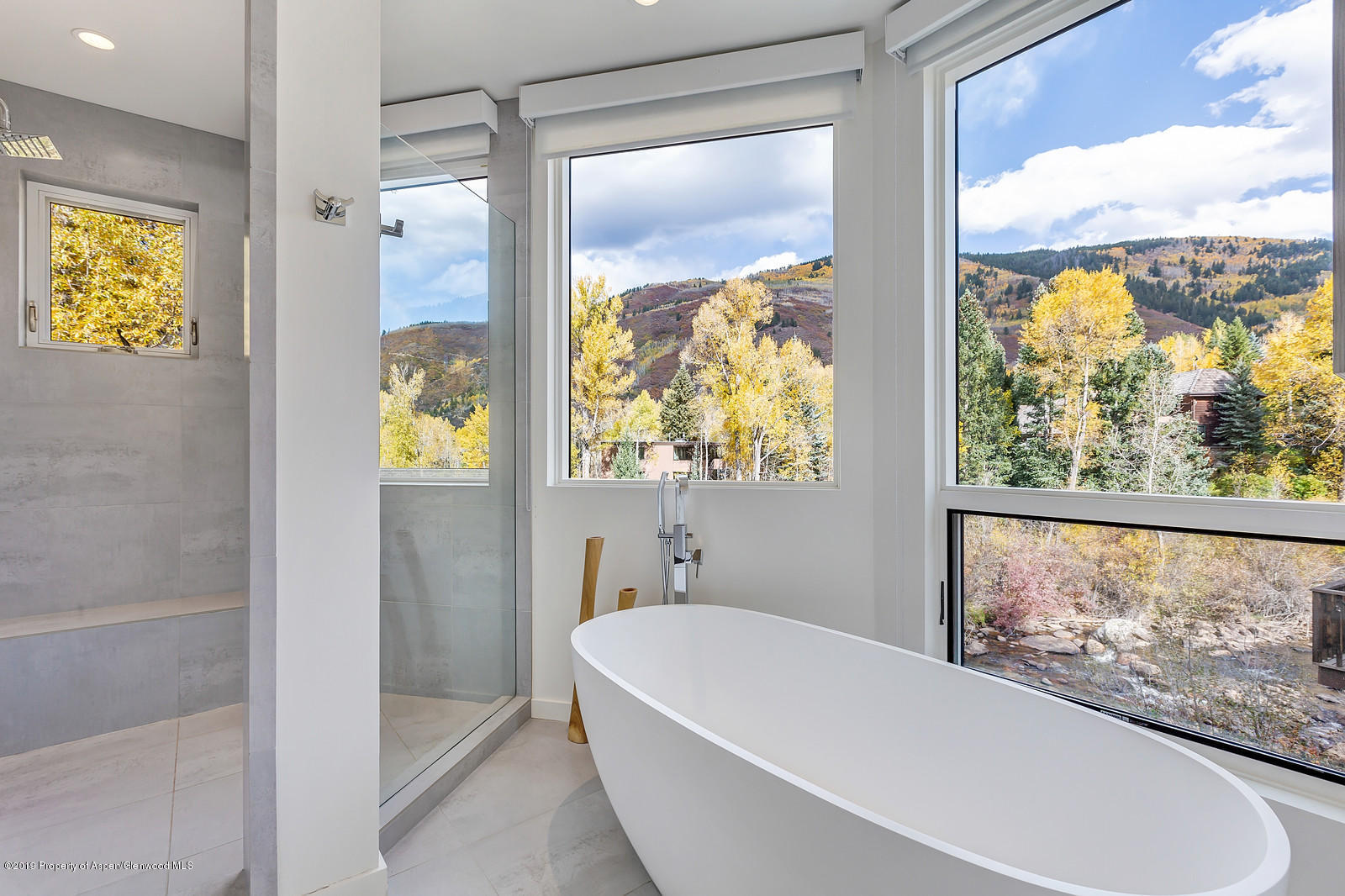 1098 E Waters Avenue Aspen CO 81611