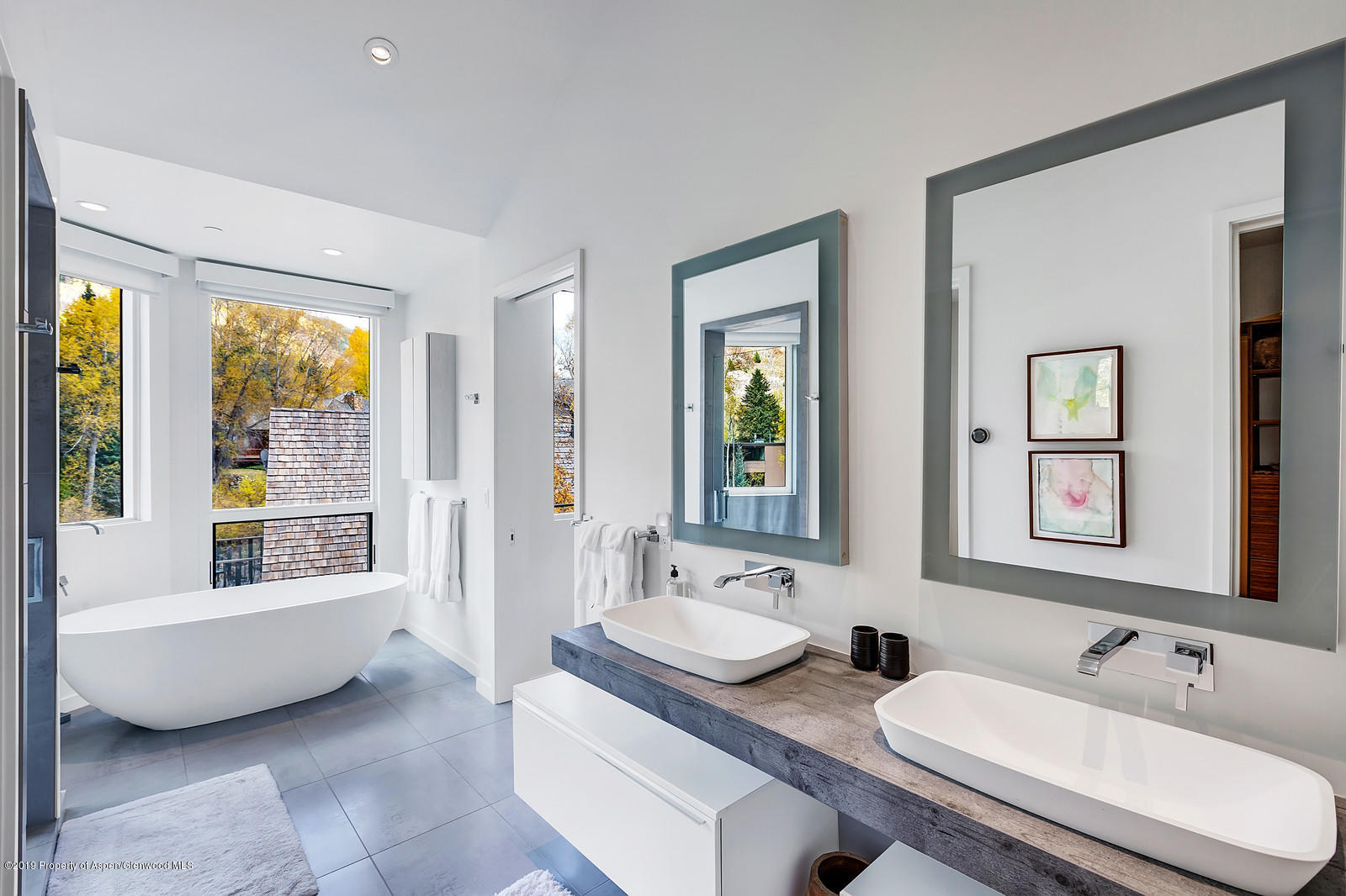 1098 E Waters Avenue Aspen CO 81611