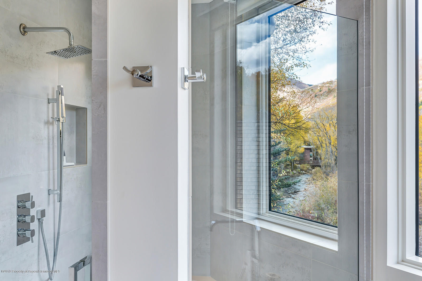 1098 E Waters Avenue Aspen CO 81611