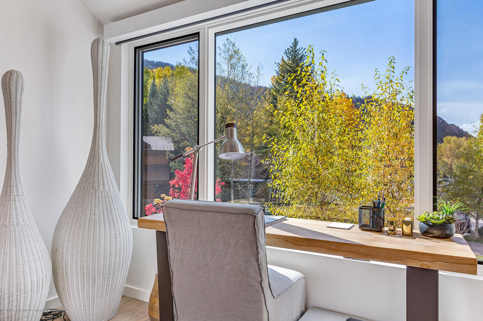 1098 E Waters Avenue Aspen CO 81611