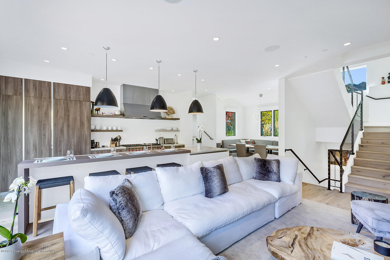 1098 E Waters Avenue Aspen CO 81611