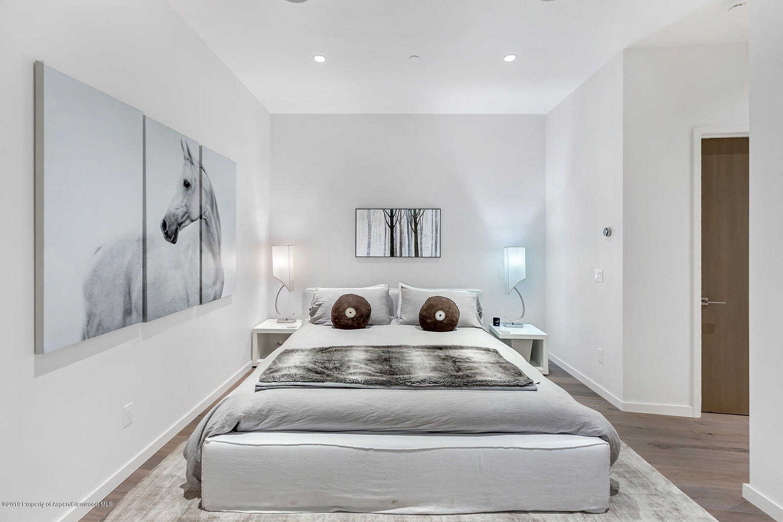 1098 E Waters Avenue Aspen CO 81611