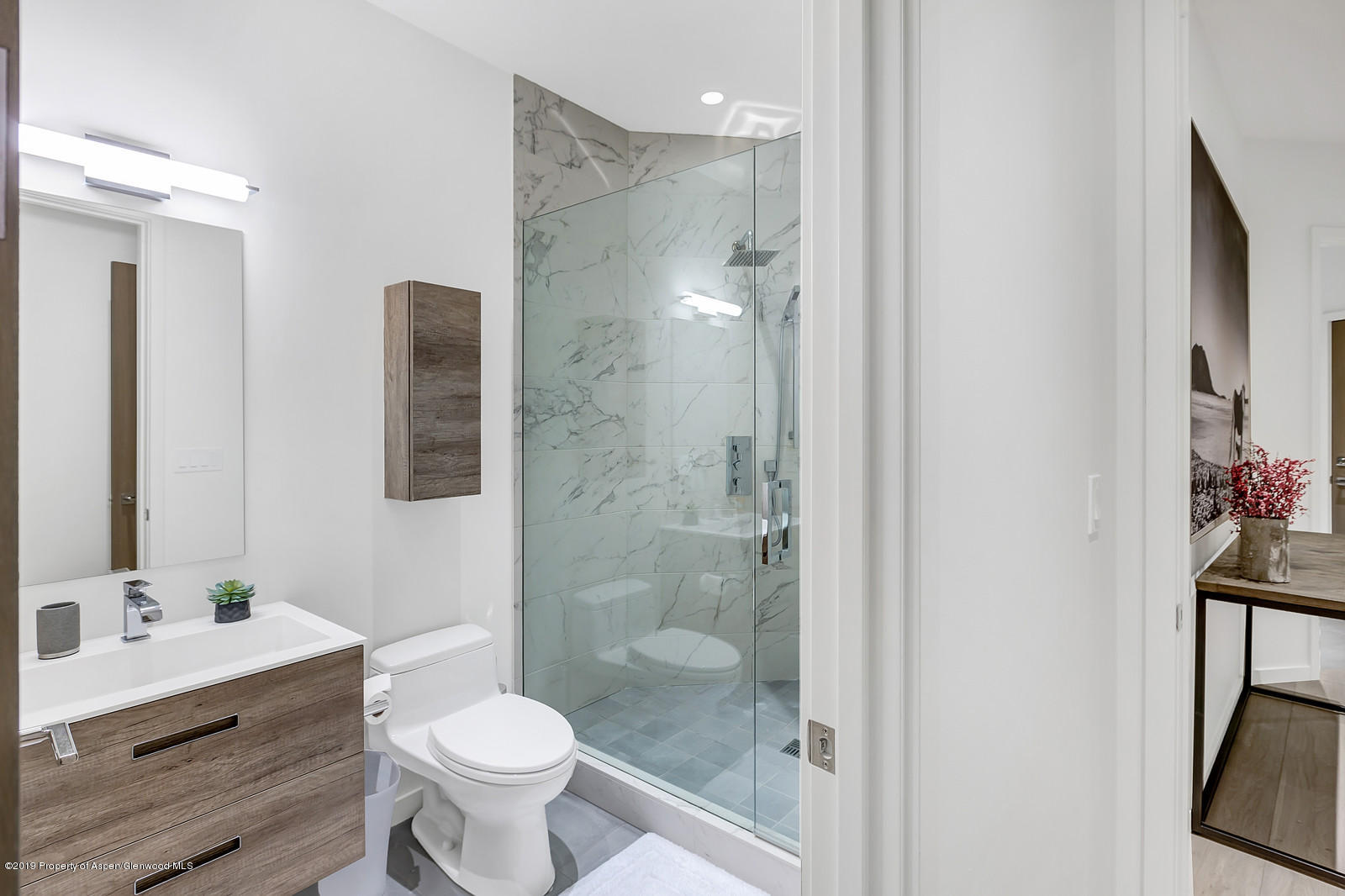 1098 E Waters Avenue Aspen CO 81611