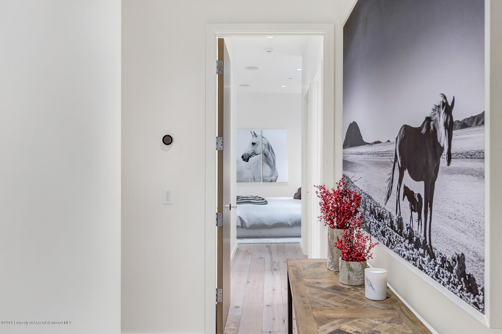 1098 E Waters Avenue Aspen CO 81611