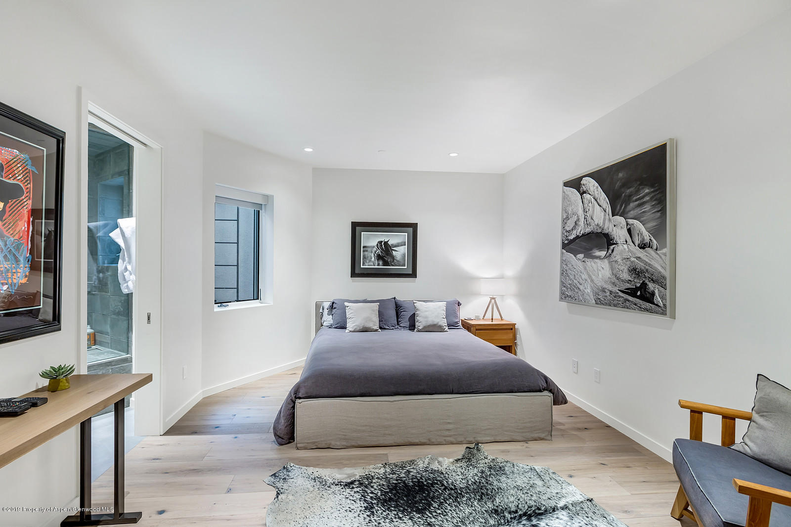 1098 E Waters Avenue Aspen CO 81611