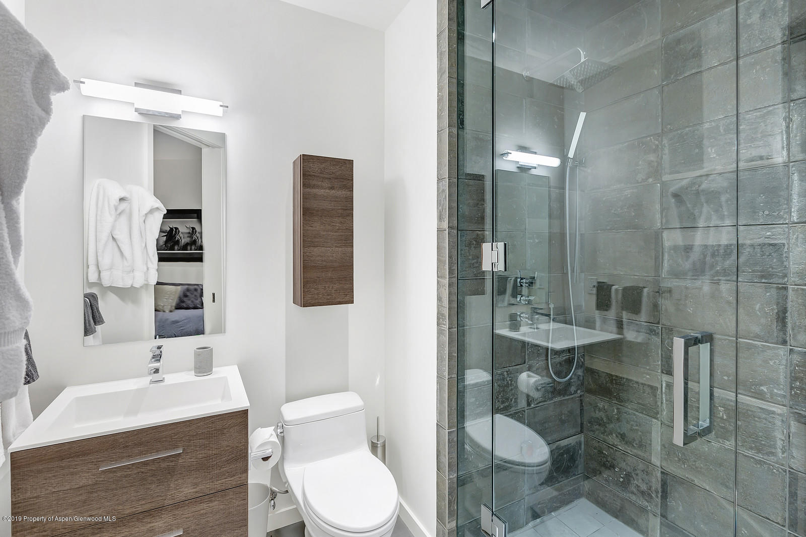 1098 E Waters Avenue Aspen CO 81611