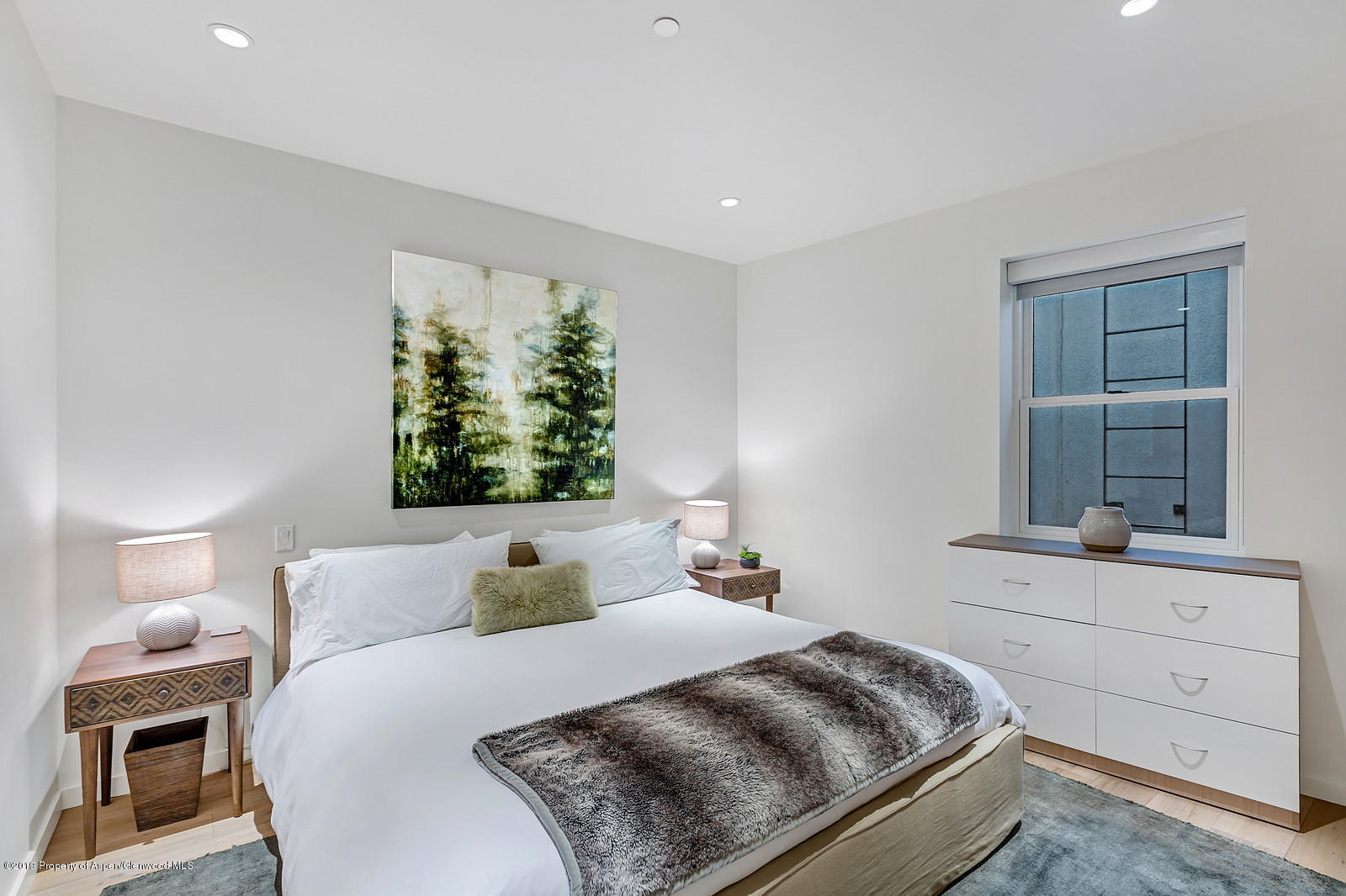 1098 E Waters Avenue Aspen CO 81611