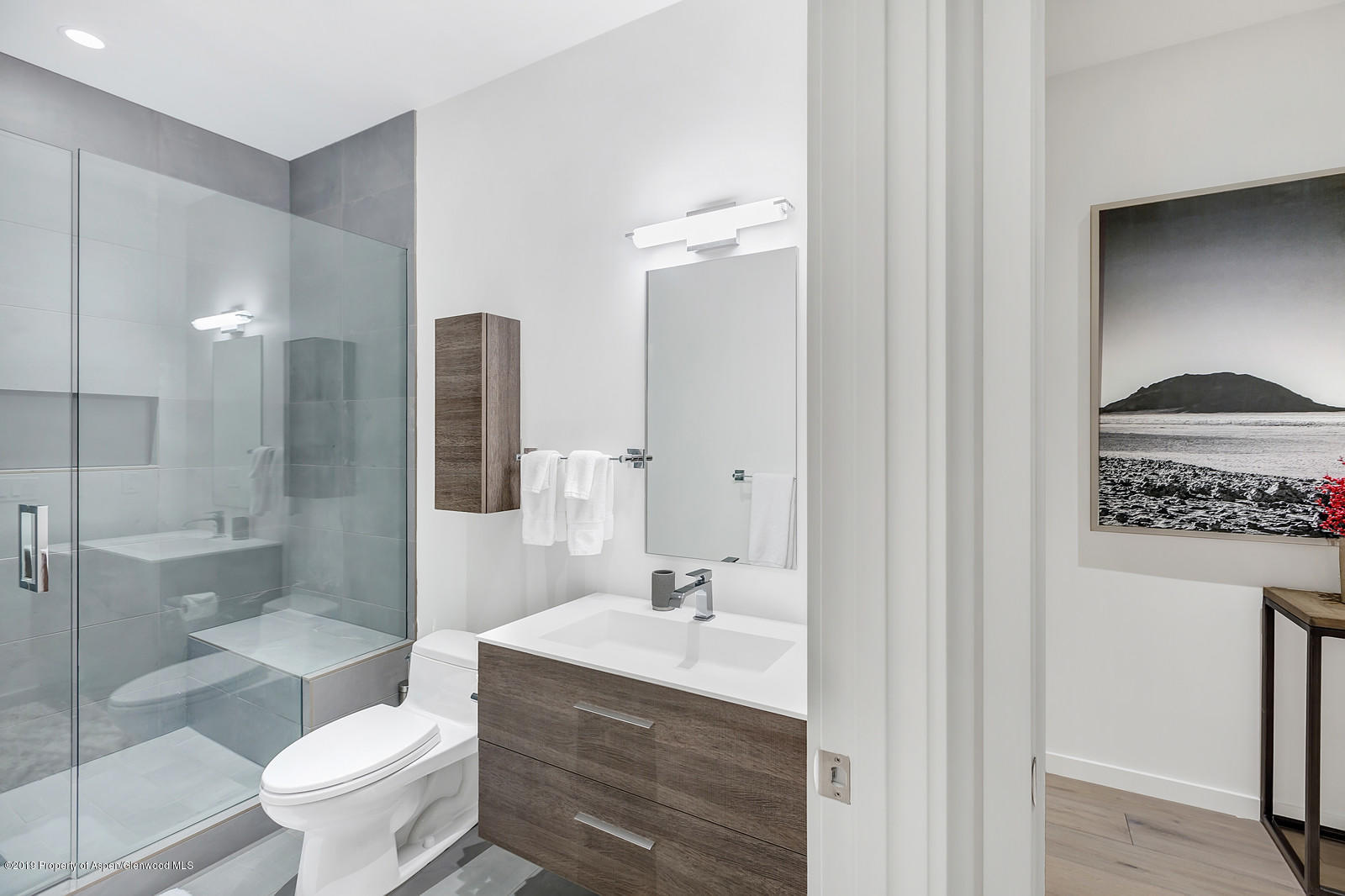 1098 E Waters Avenue Aspen CO 81611