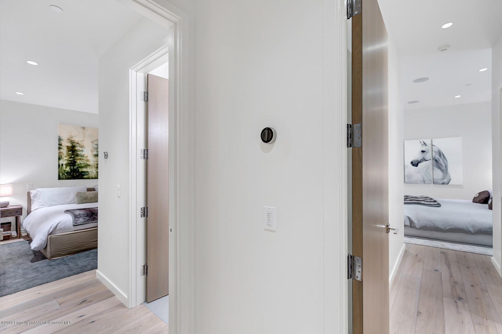 1098 E Waters Avenue Aspen CO 81611